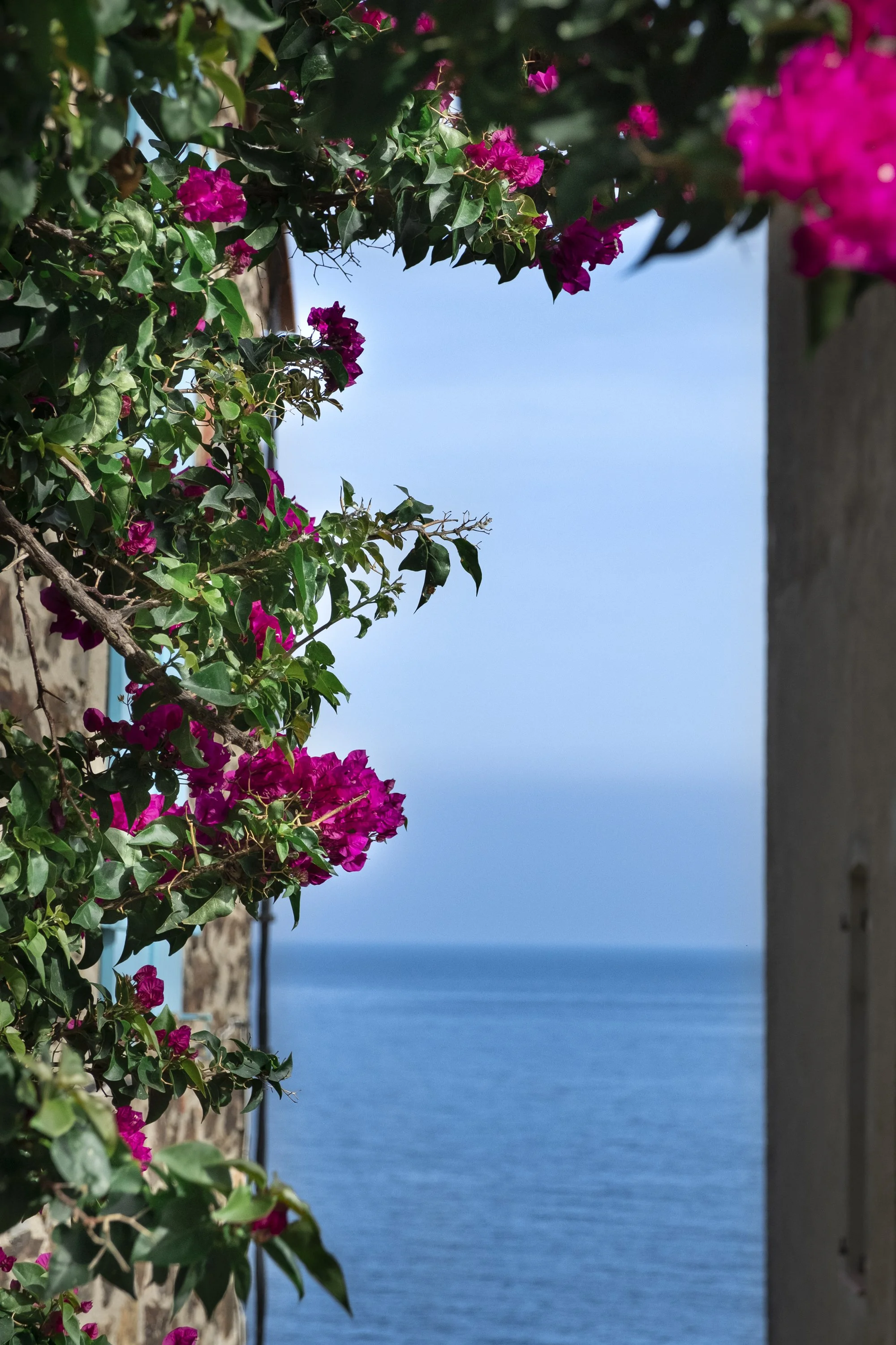 Paysages, Montagne, Mer, Eau, Terre, Lac, Fleur, Nature, Randonnée, Perpignan, Paris, Pyrénées-Orientales, Occitanie, Voyages