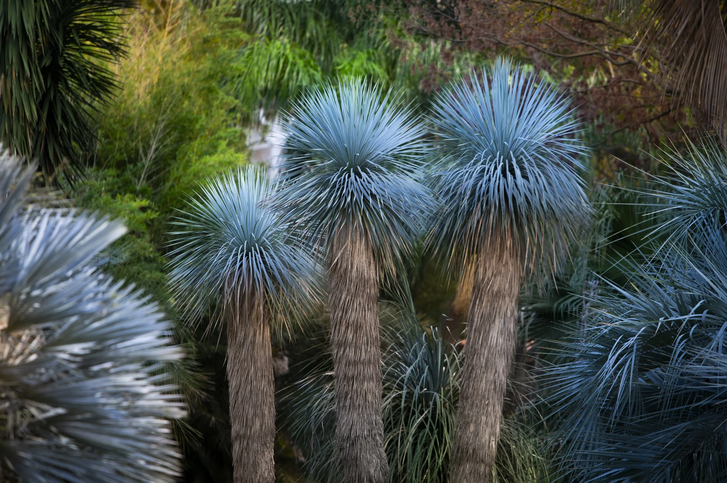 Paysages, Montagne, Mer, Eau, Terre, Lac, Fleur, Nature, Randonnée, Perpignan, Paris, Pyrénées-Orientales, Occitanie, Neige, Halpe d'Huez, ski; Juliette Jem; Photographe; Evènement; Entreprise