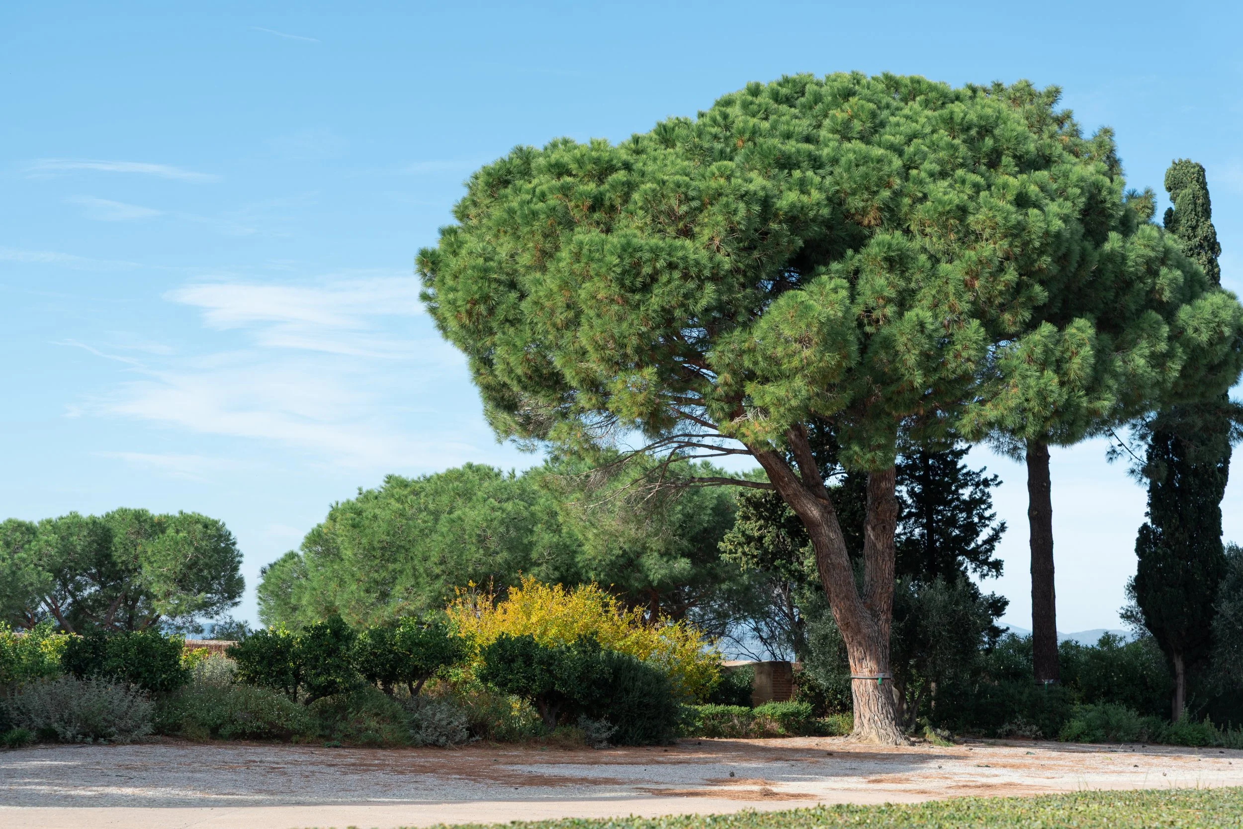 Paysages, Montagne, Mer, Eau, Terre, Lac, Fleur, Nature, Randonnée, Perpignan, Paris, Pyrénées-Orientales, Occitanie, Neige, Halpe d'Huez, ski; Juliette Jem; Photographe; Evènement; Entreprise