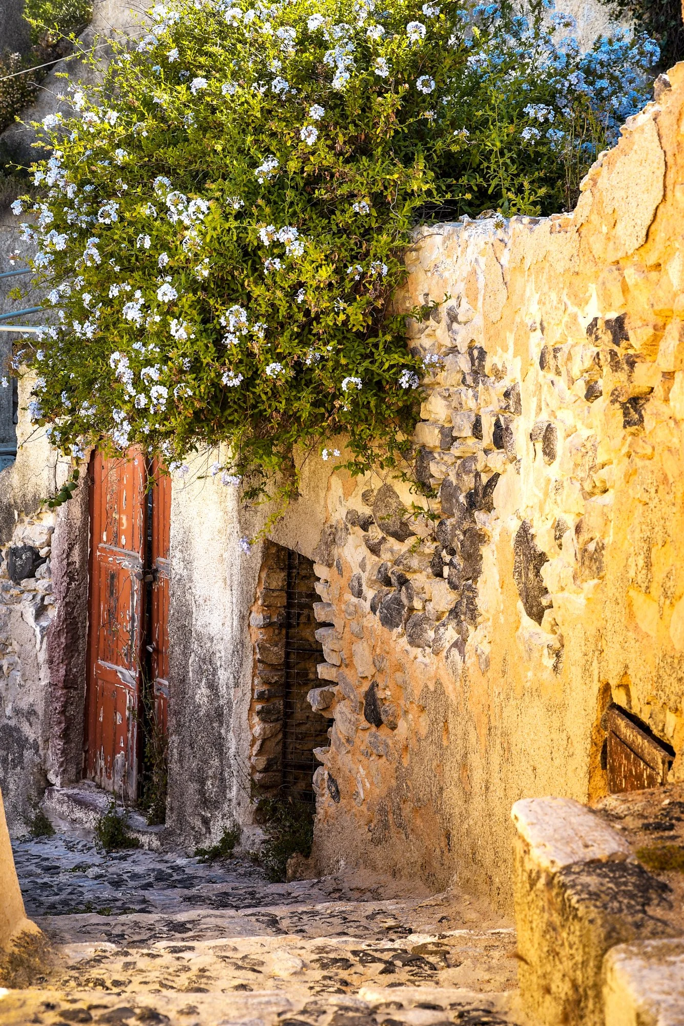 Paysages, Montagne, Mer, Eau, Terre, Lac, Fleur, Nature, Randonnée, Perpignan, Paris, Pyrénées-Orientales, Occitanie, Voyages