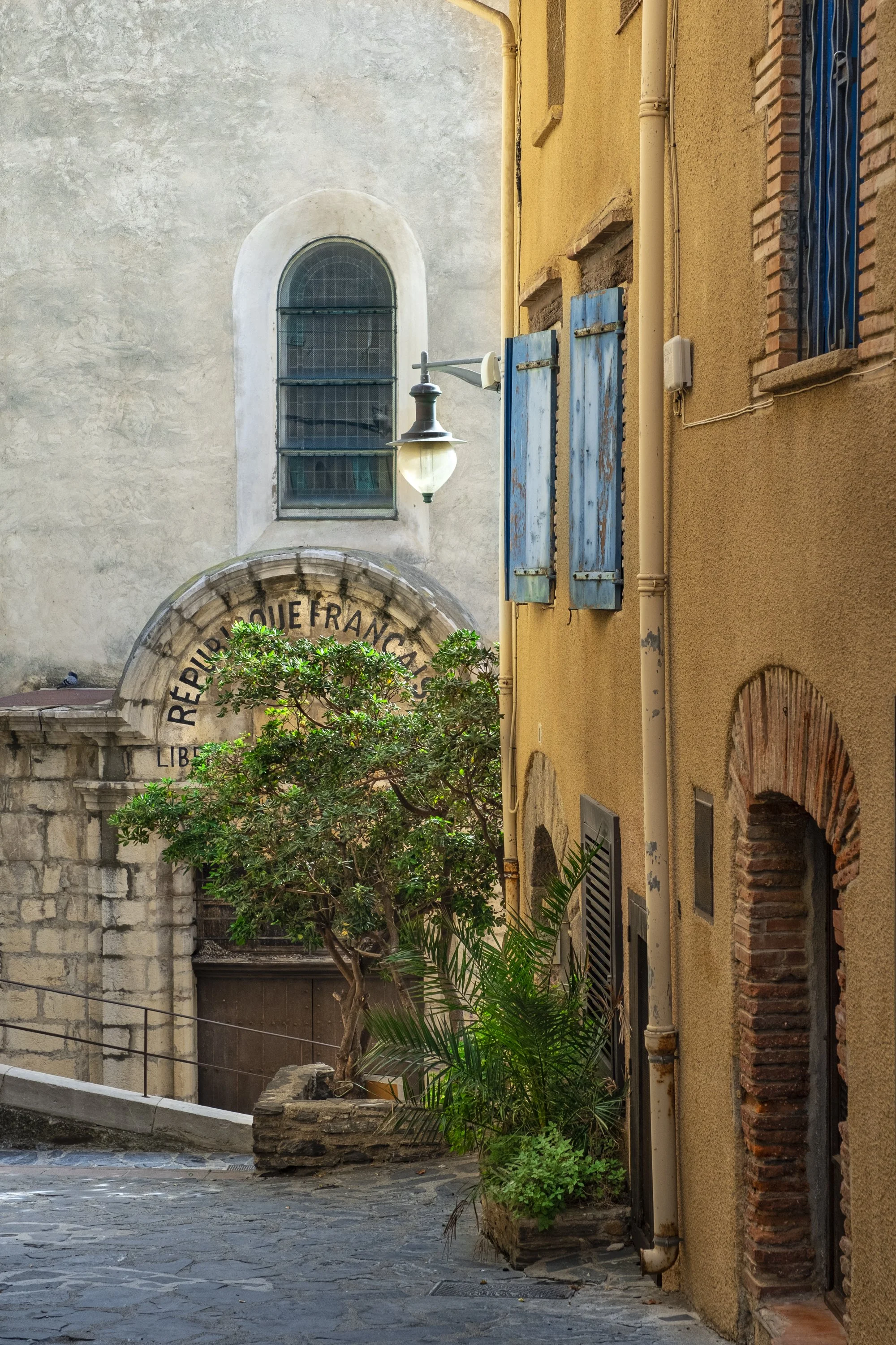 Paysages, Montagne, Mer, Eau, Terre, Lac, Fleur, Nature, Randonnée, Perpignan, Paris, Pyrénées-Orientales, Occitanie, 