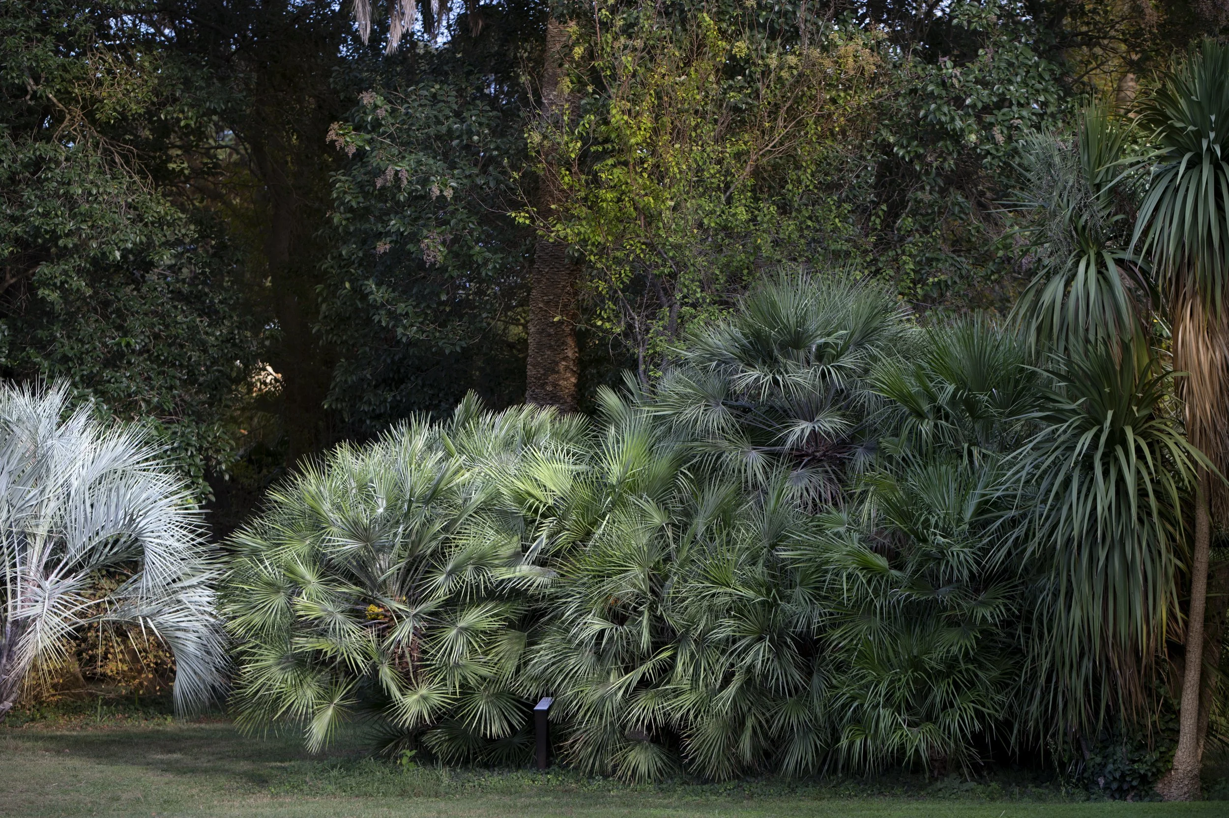 Paysages, Montagne, Mer, Eau, Terre, Lac, Fleur, Nature, Randonnée, Perpignan, Paris, Pyrénées-Orientales, Occitanie, Neige, Halpe d'Huez, ski; Juliette Jem; Photographe; Evènement; Entreprise