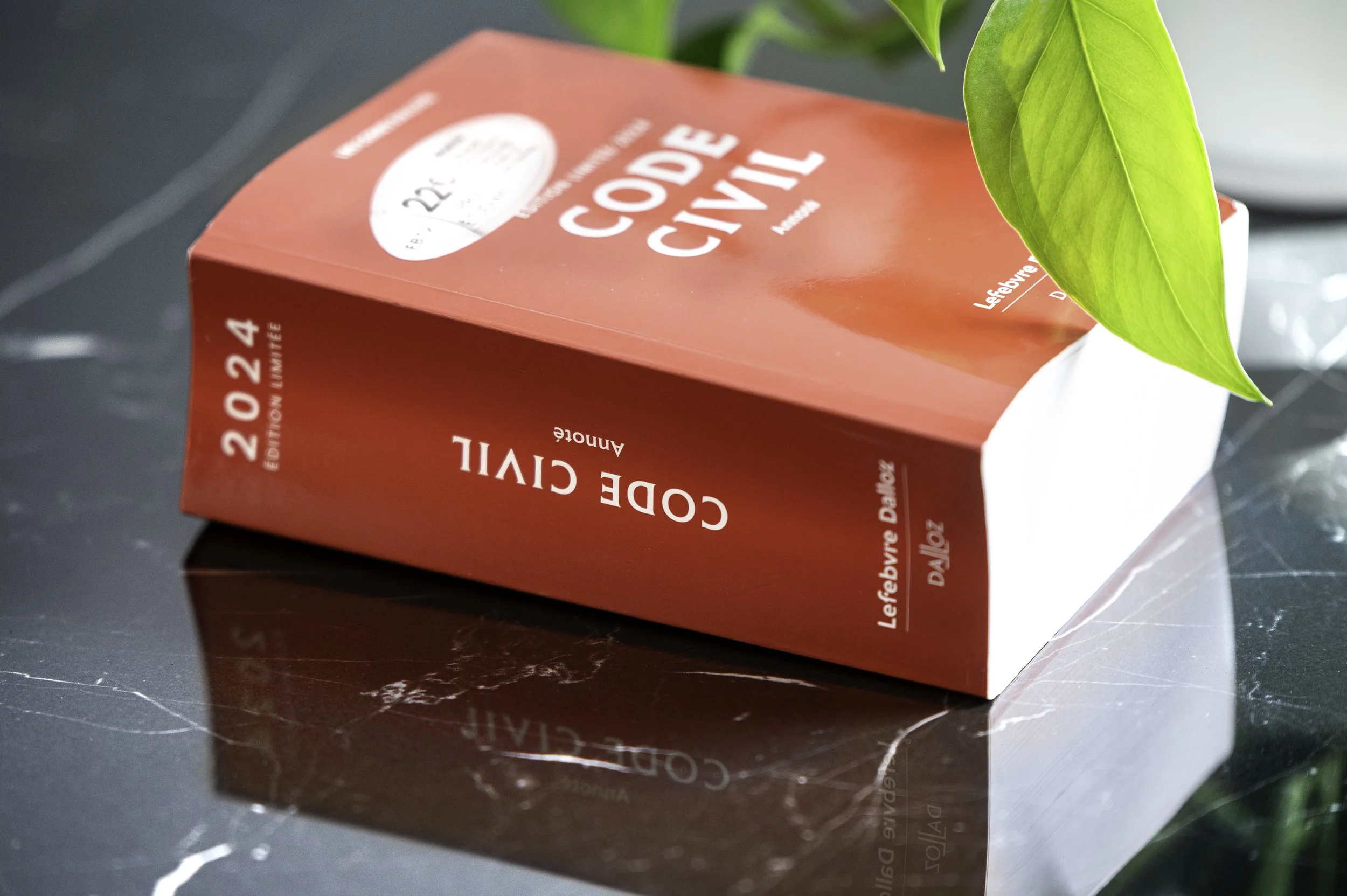 Entreprise, Société, Etude, Notaire, Bureaux Paris; Perpignan; ©Juliette Jem, Locaux, Extérieurs, Photo d’Intérieure, Boutiques, Photographe, Pyrénées-Orientales, Occitanie, Professionnel, Intérieur; Cabinet Avocat; Aude; Montpellier; Toulouse; Narbo