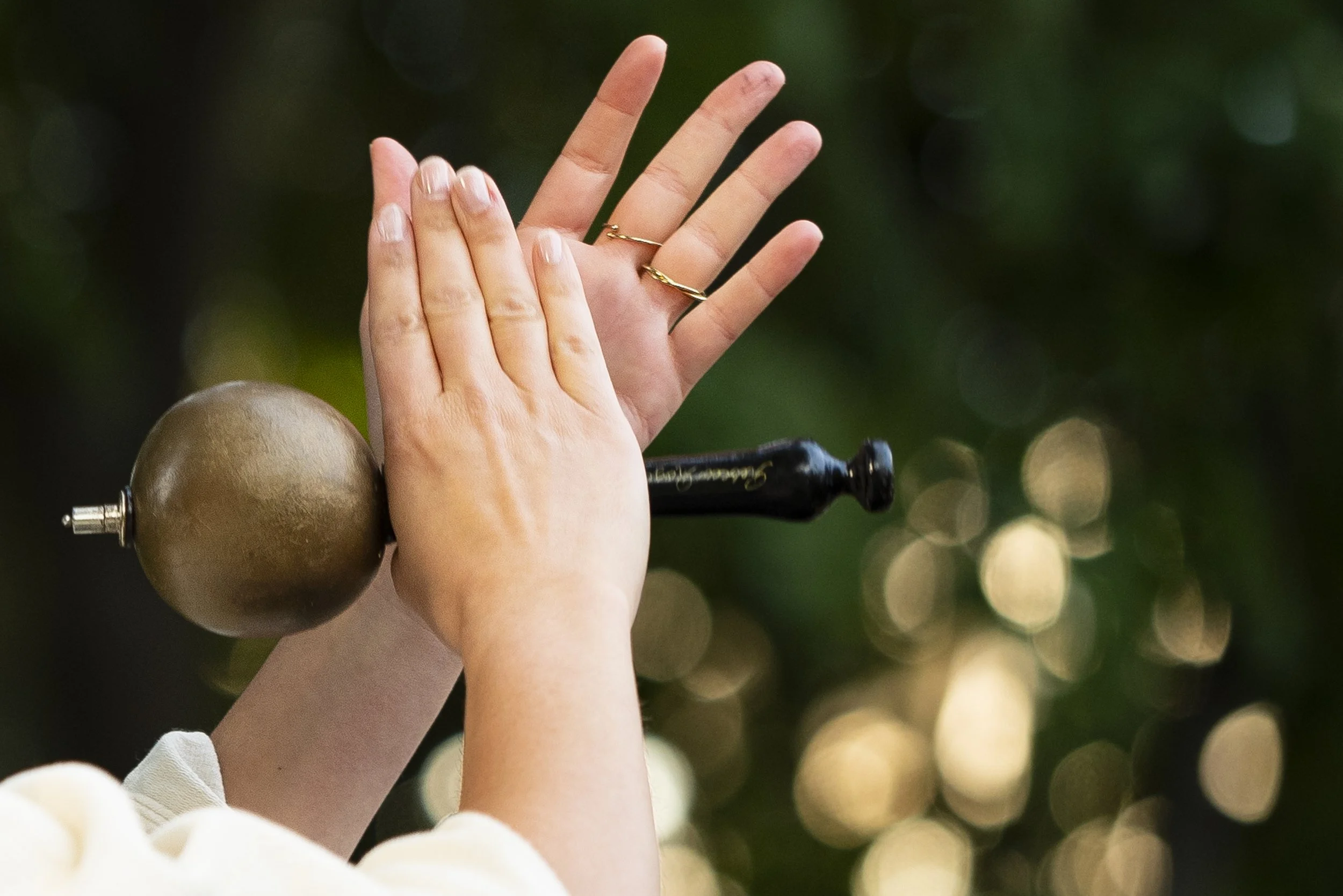 Concert Rhizome Paris Evènement Paris Perpignan France 