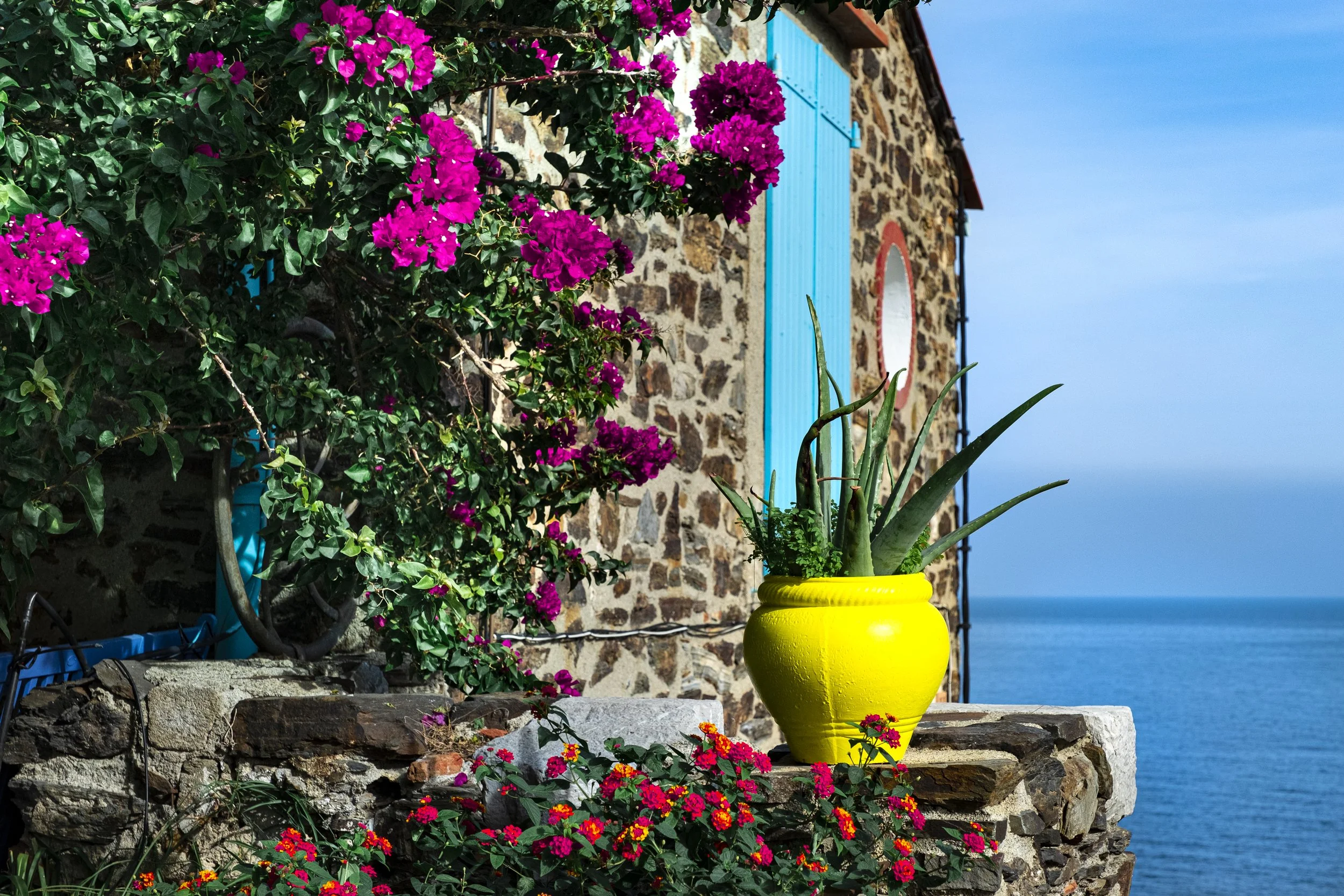 Paysages, Montagne, Mer, Eau, Terre, Lac, Fleur, Nature, Randonnée, Perpignan, Paris, Pyrénées-Orientales, Occitanie, 