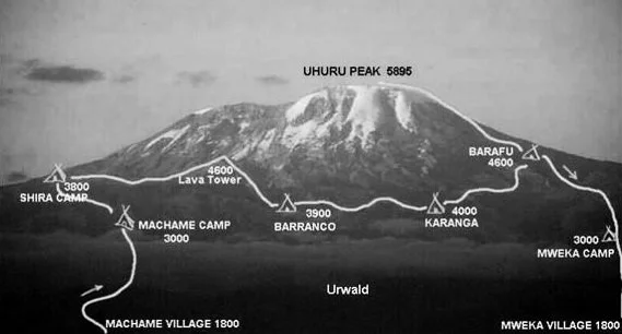 voie machame kilimandjaro