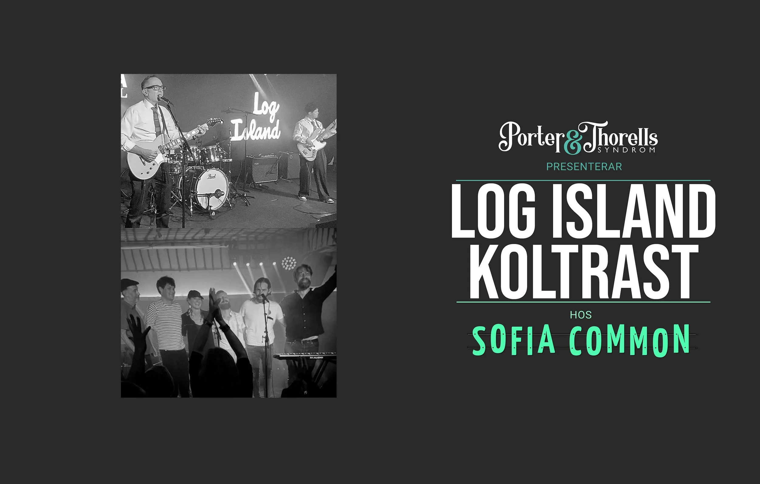 LOG ISLAND + KOLTRAST