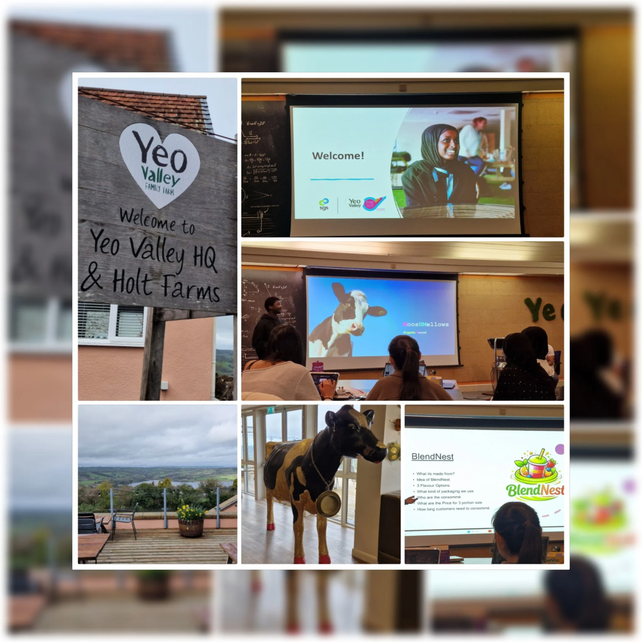 A week at Yeo Valley: Inspiring the Next Generation with Bristol Future Talent Partnership