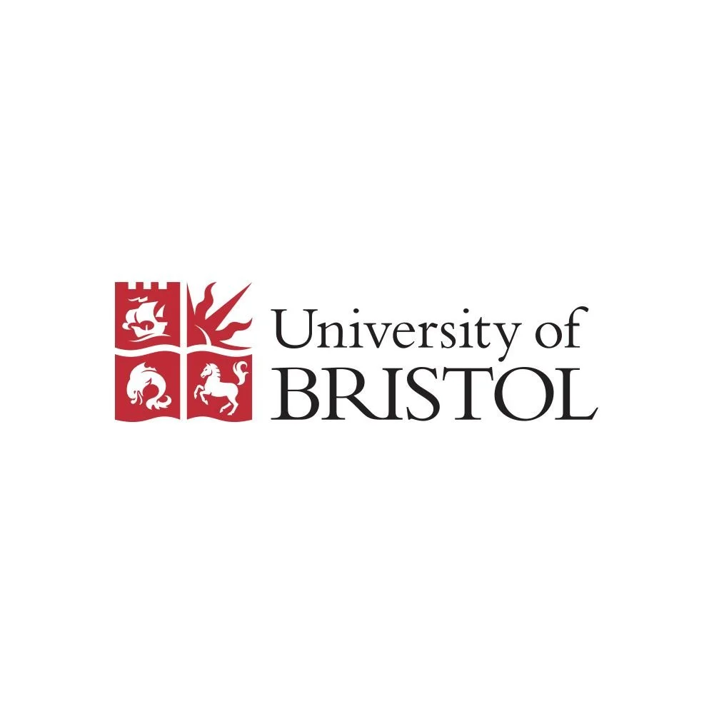 University of Bristol.jpg
