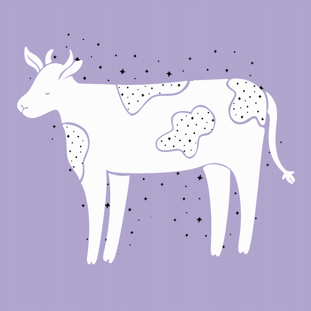 MOTION GRAPHICS ICON.gif