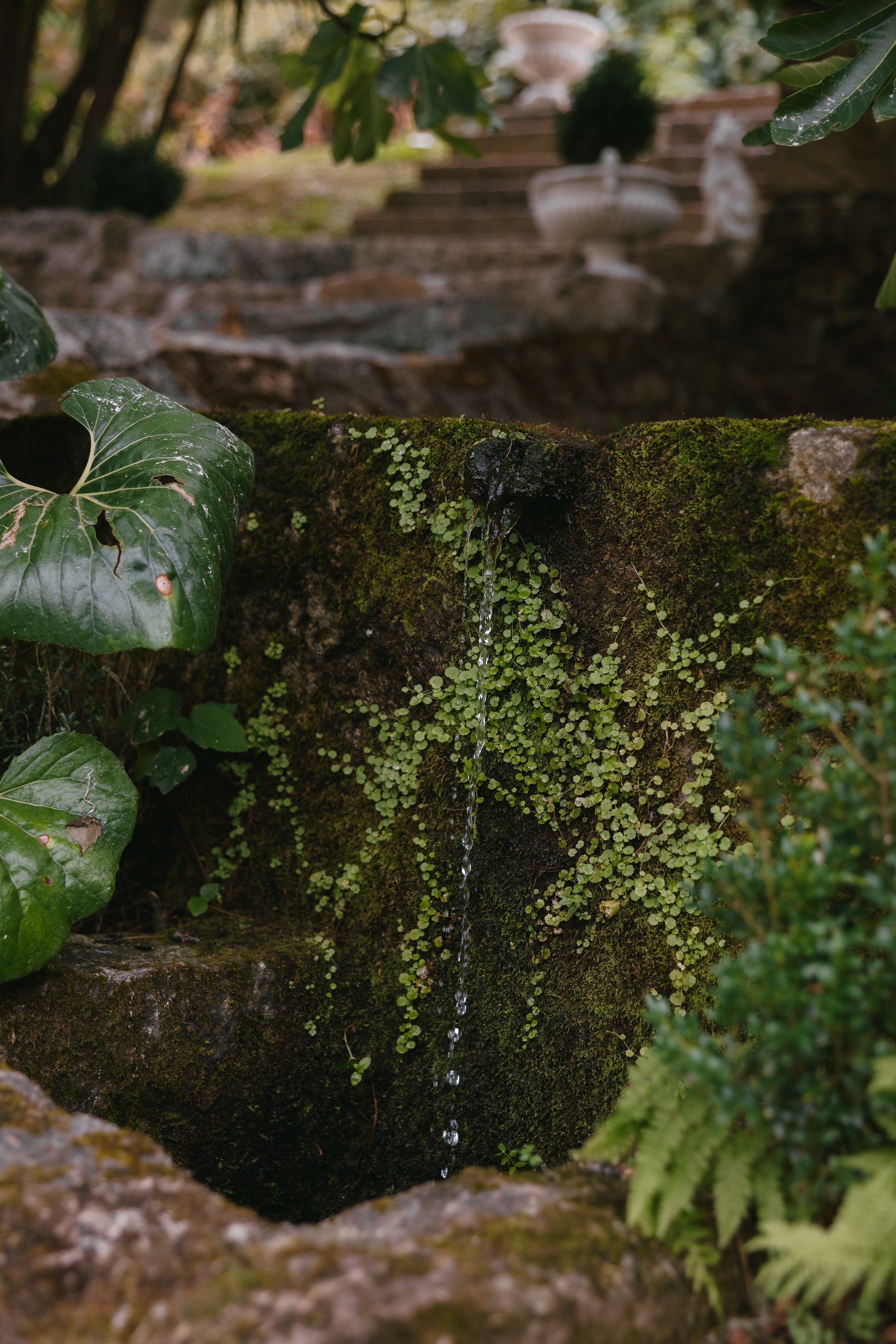 Chloe Nick Blog-207.jpg