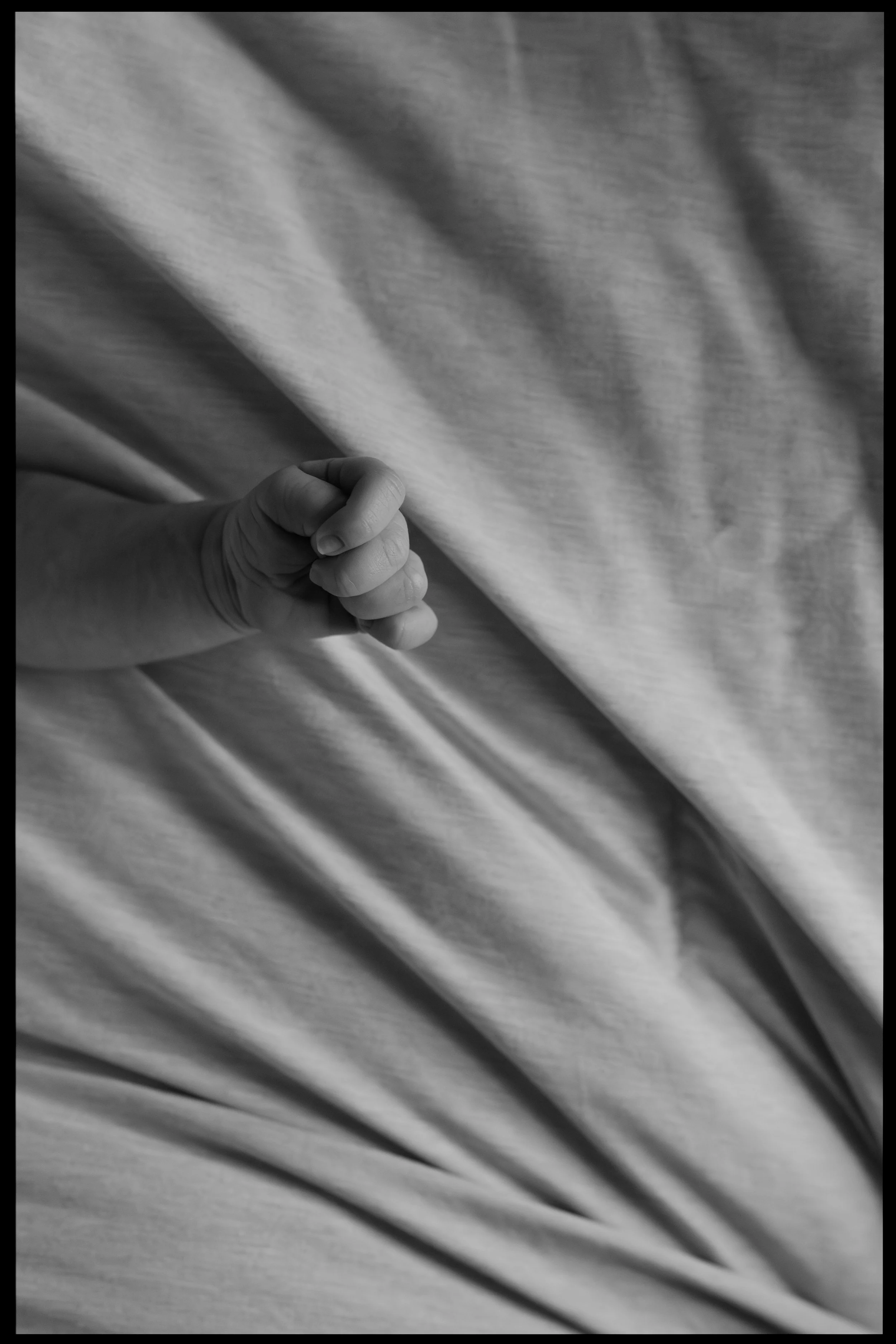 Ana and Hunter BLOG7.jpg