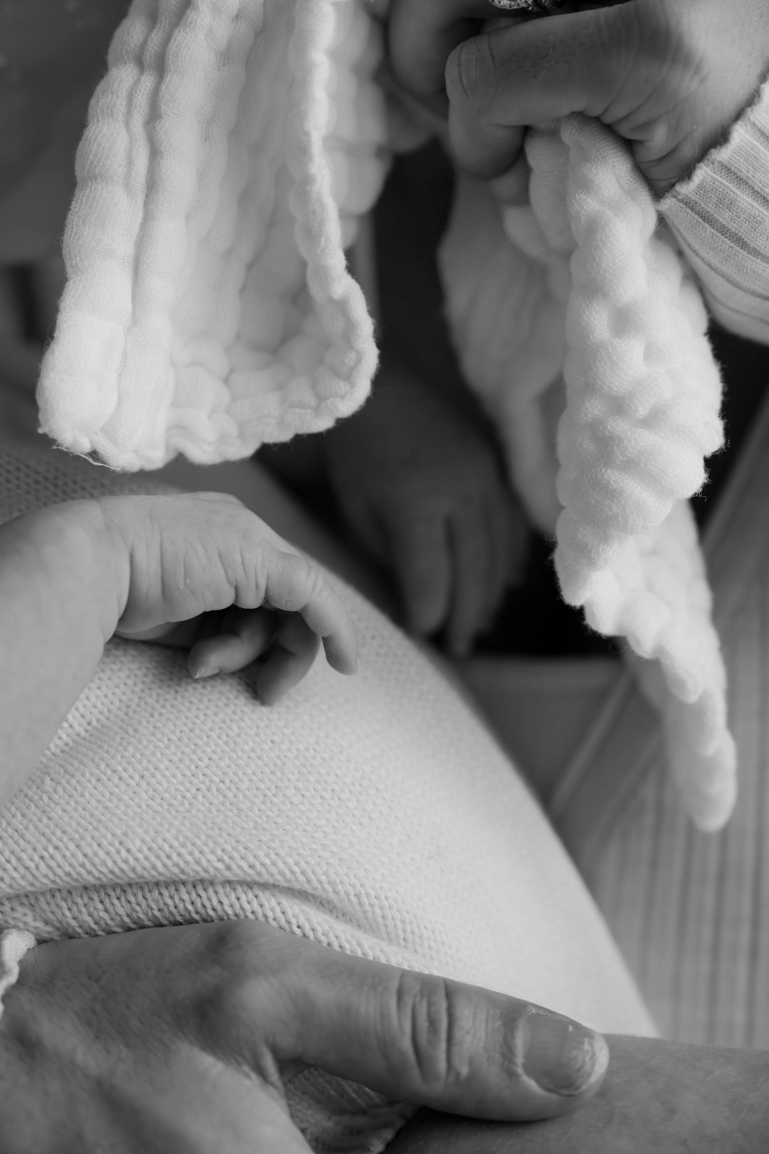 Ana and Hunter BLOG6.jpg