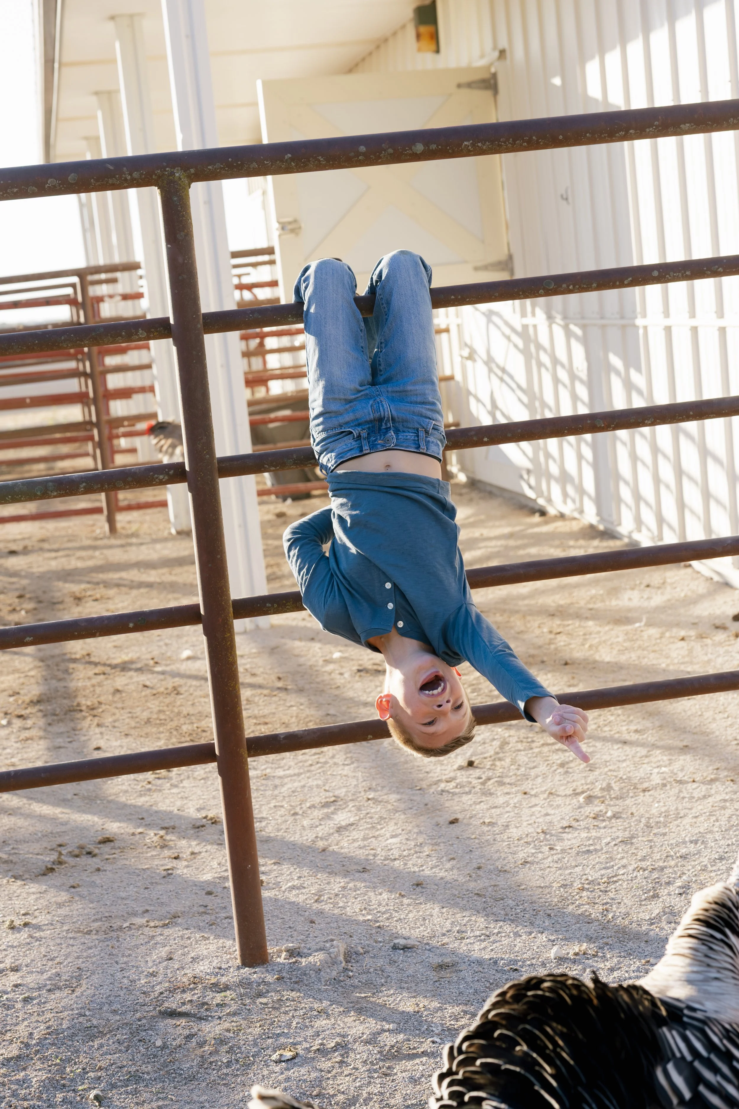 Emily W Favs FIX21.jpg