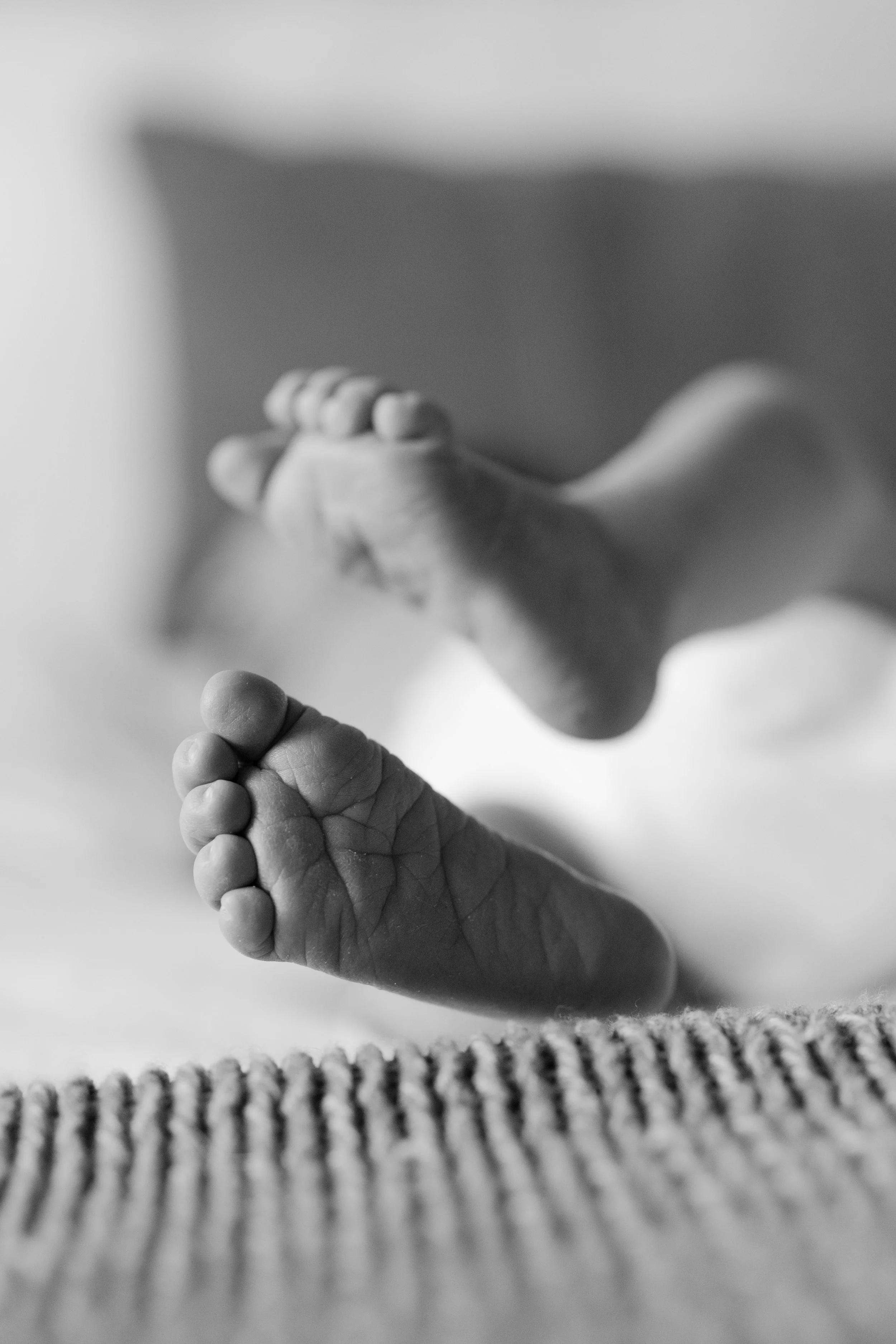 Kansas City Newborn Photographer2.jpg