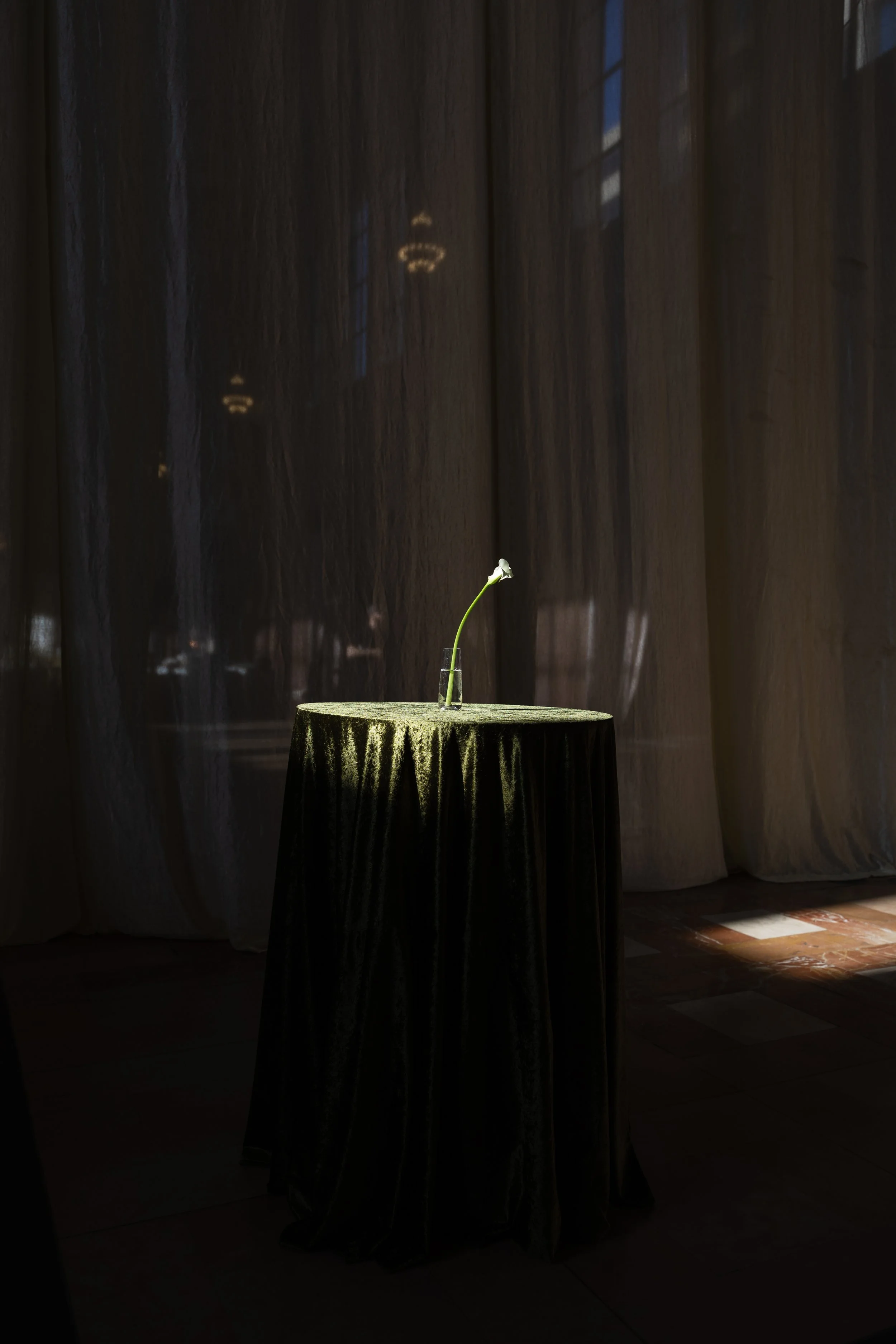 Highlights_Courtney and Bryan56.jpg