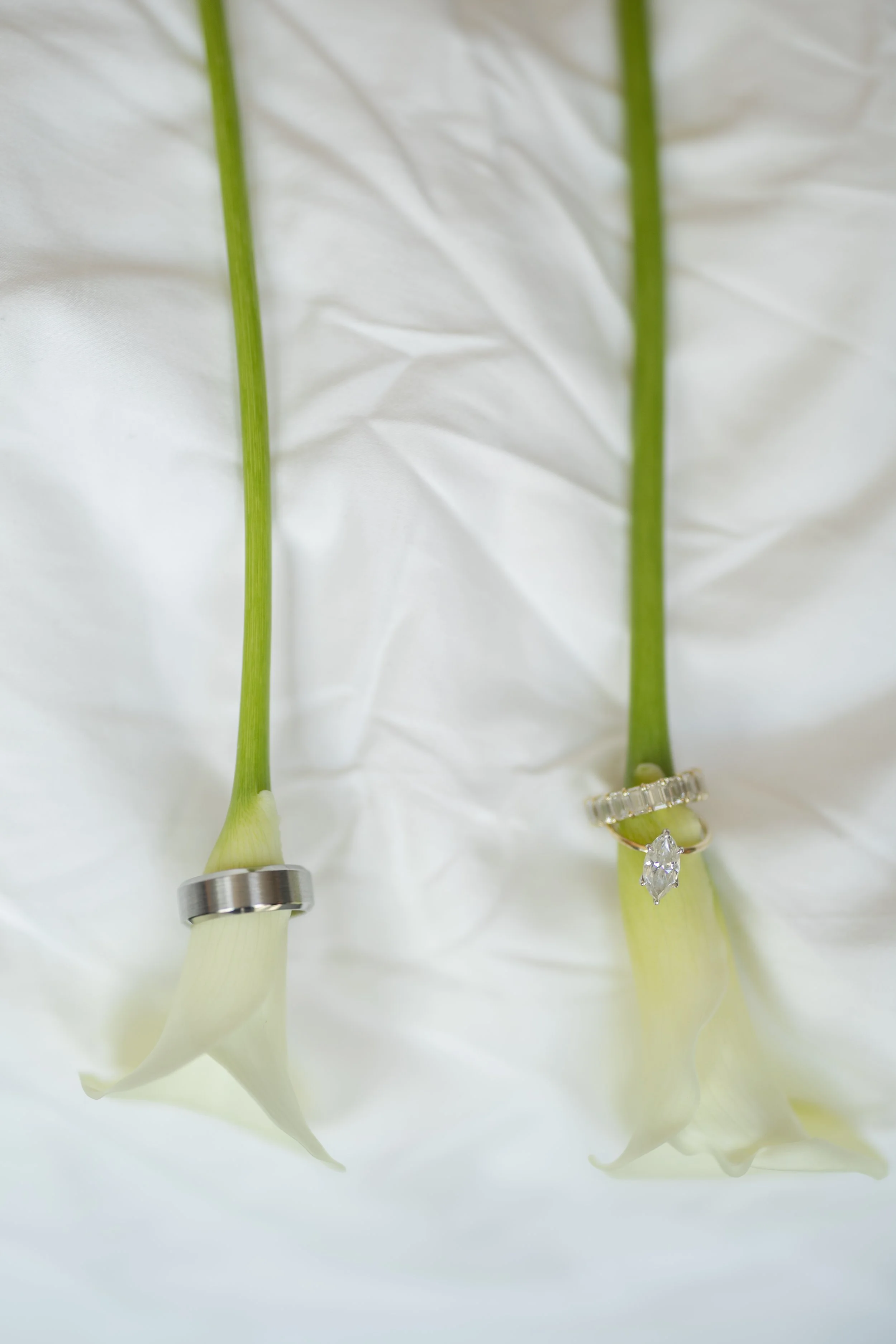 Highlights_Courtney and Bryan2.jpg