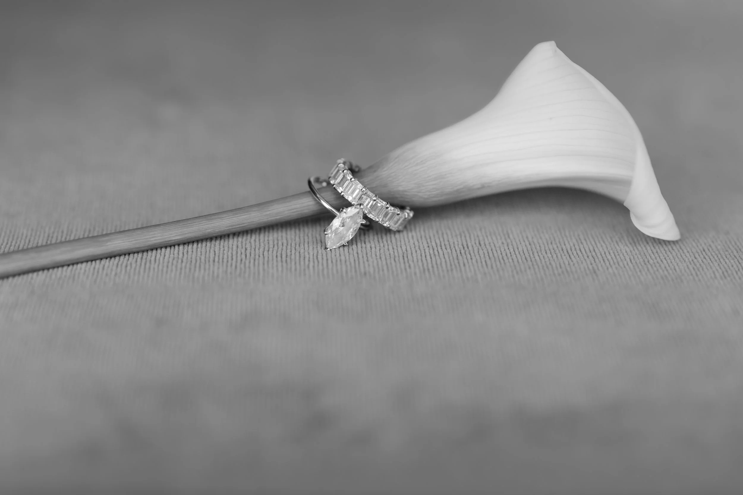 Highlights_Courtney and Bryan1.jpg