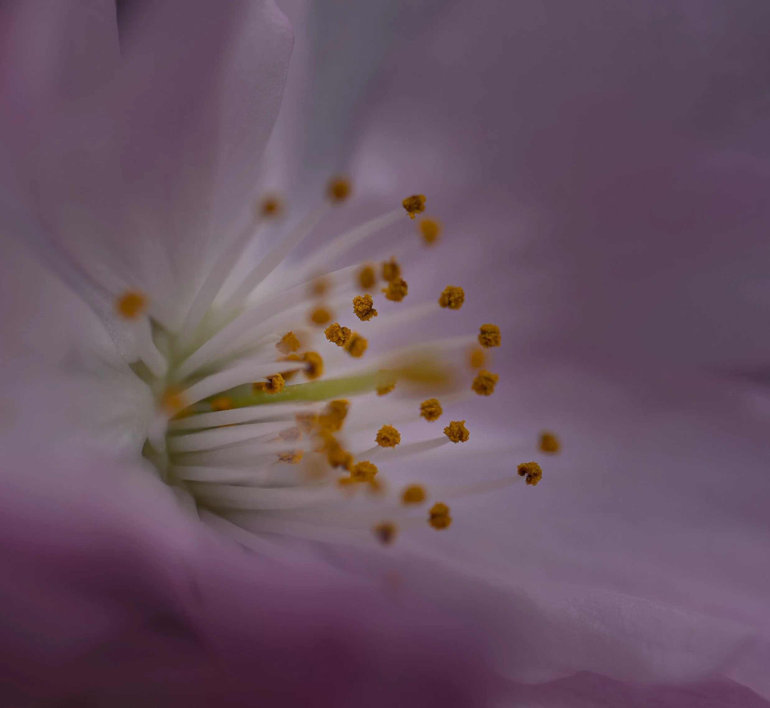 DSC_5082 2.JPG