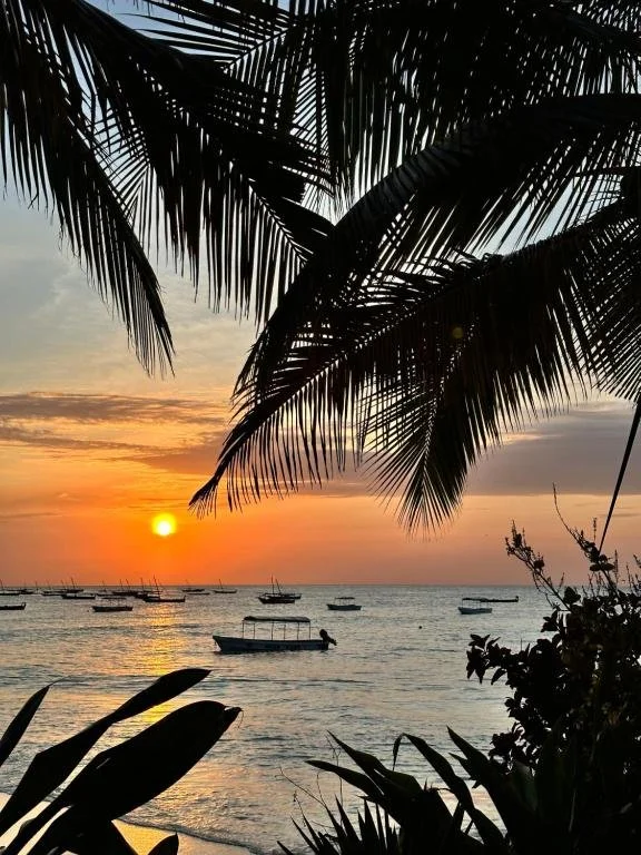 maisha nungwi restaurant sunset 2.jpg