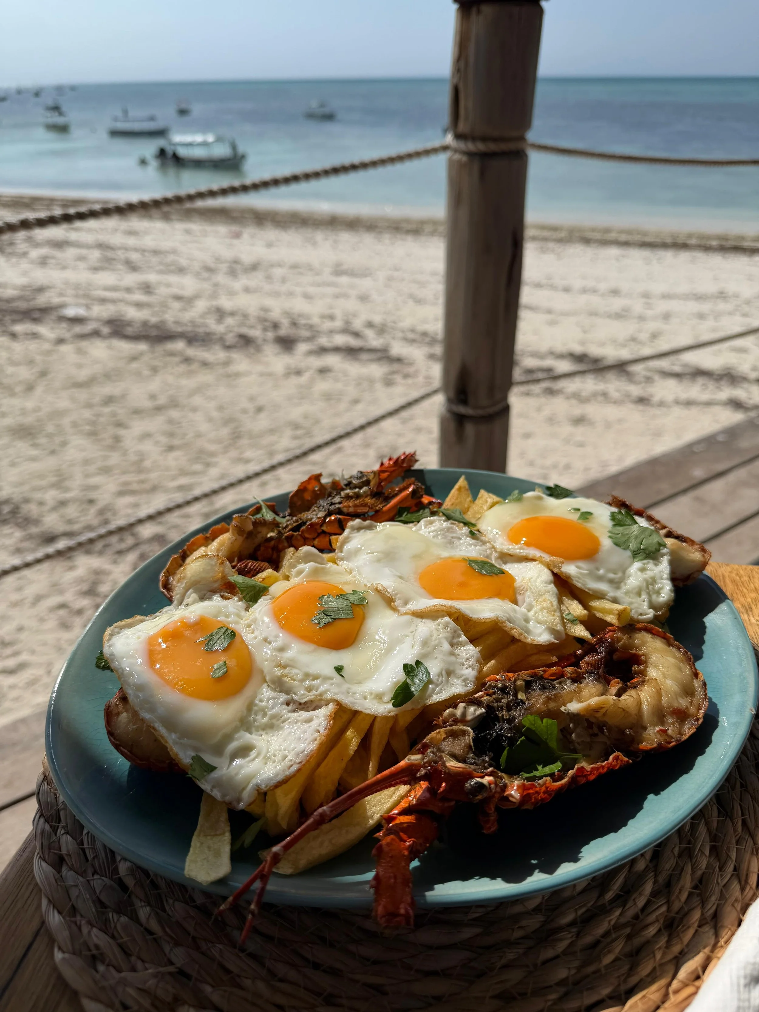 WhatsApp Image 2025-10-08 at 14.51.47.jpeg