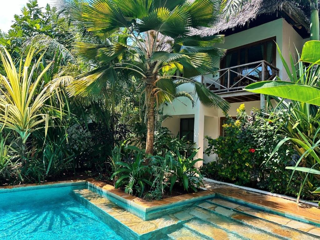 maisha nungwi pool stairs.jpg