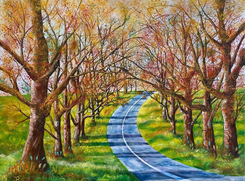 Road of Choice - Jonny Bainbridge