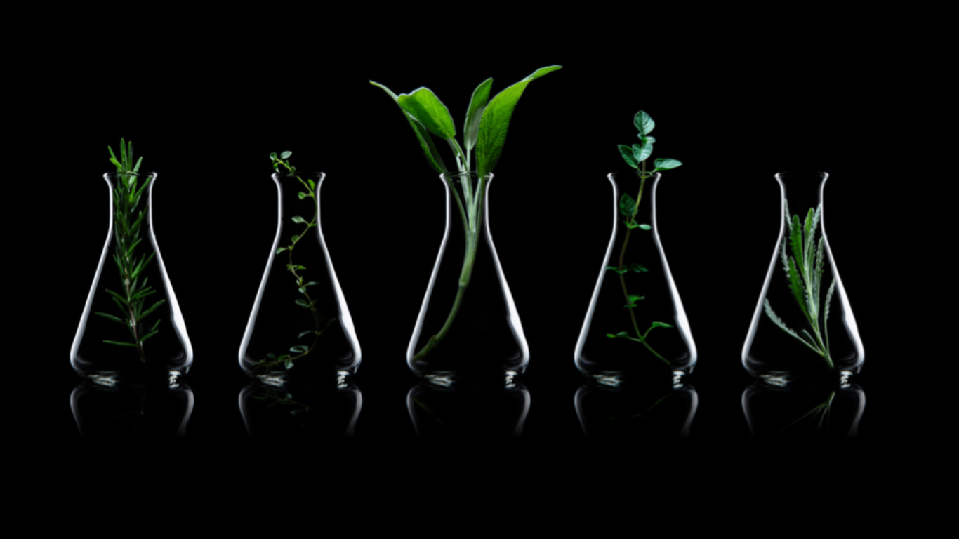 test tube
