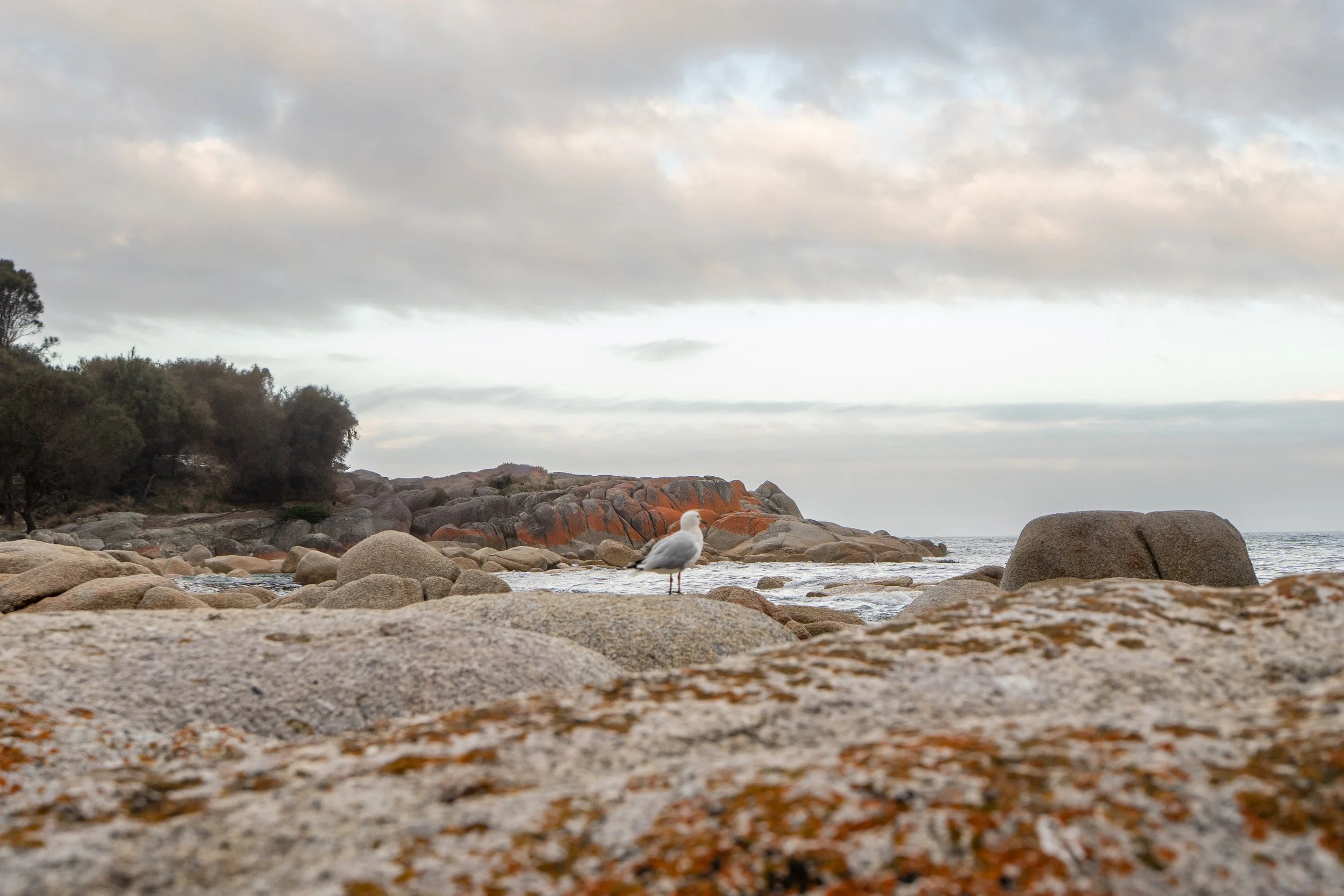 A7400064.jpg