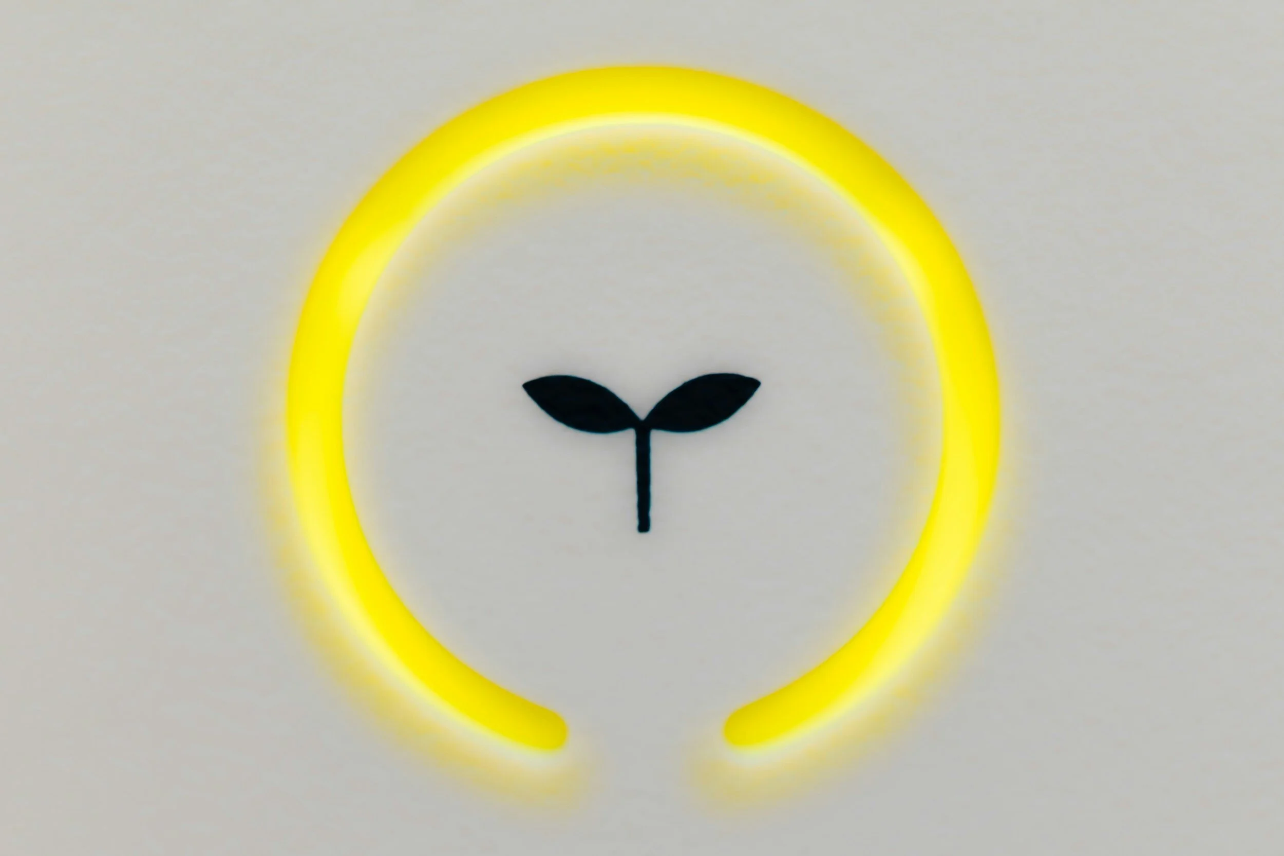 What are Some Eco-Friendly Solutions for Pool Maintenance?