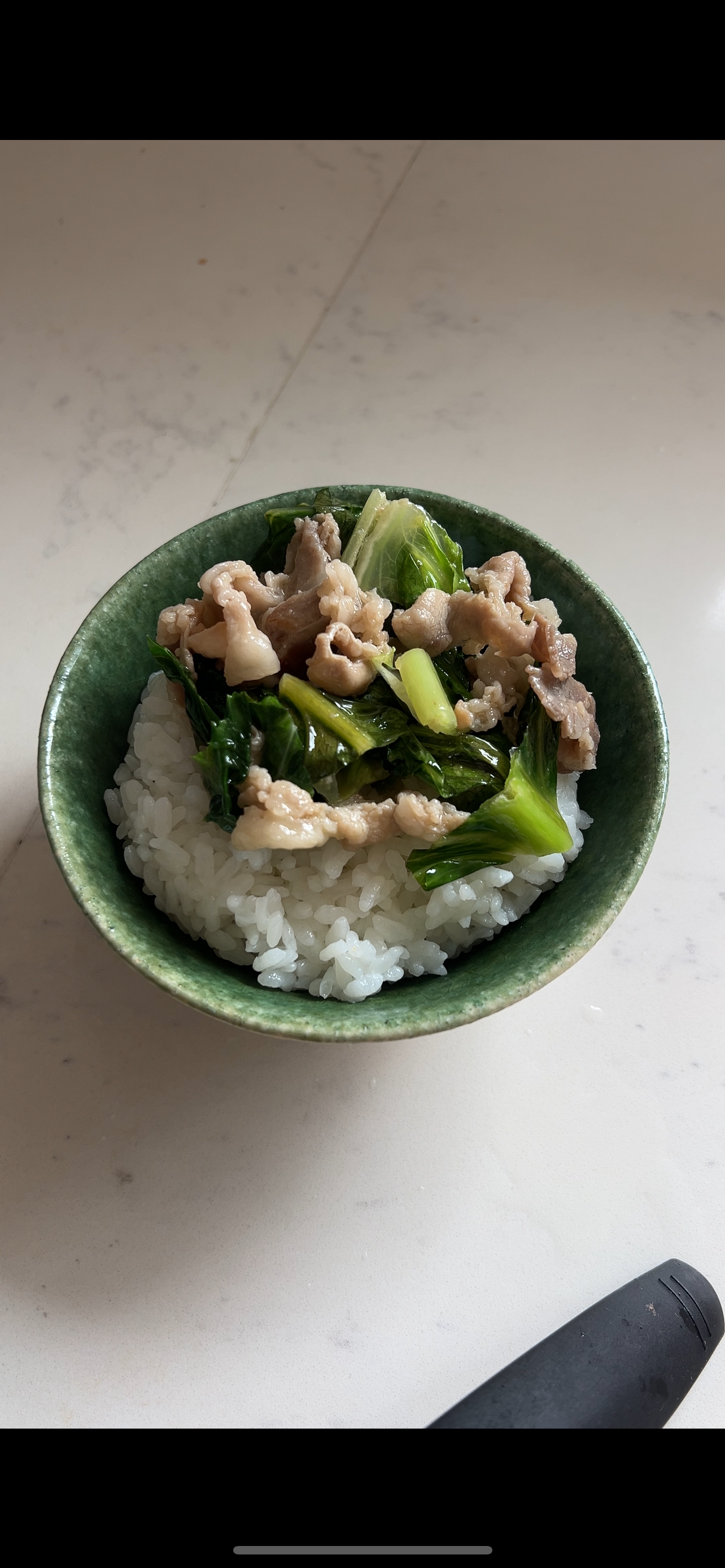pork lettuce stir-fry15.PNG