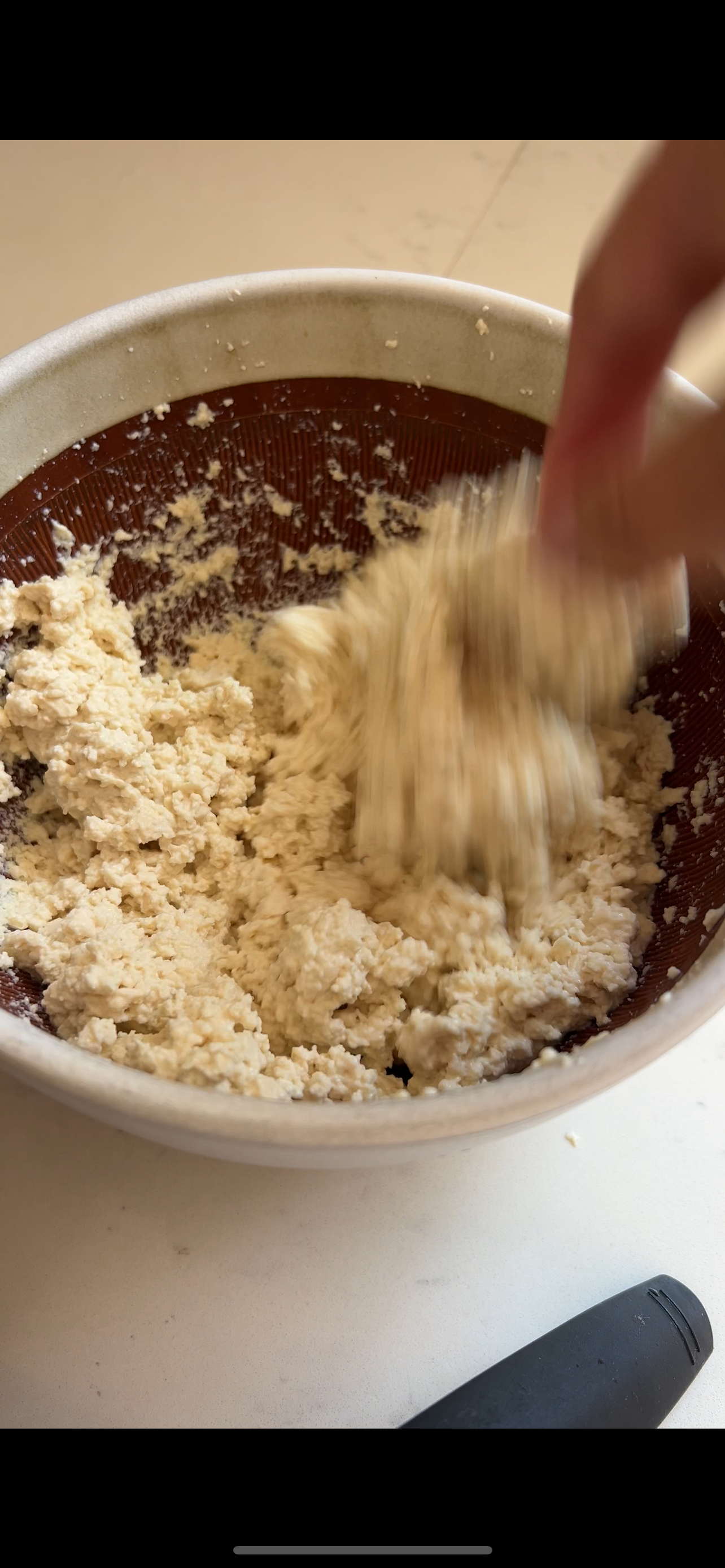 ganmodoki tofu fritter3.PNG