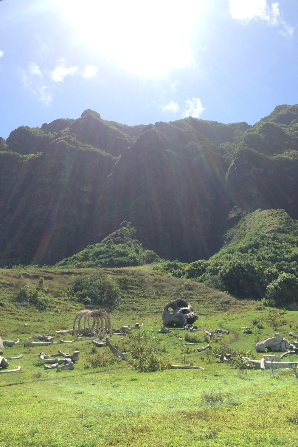kualoa ranch 49-560 kamehameha hwy, kaneohe