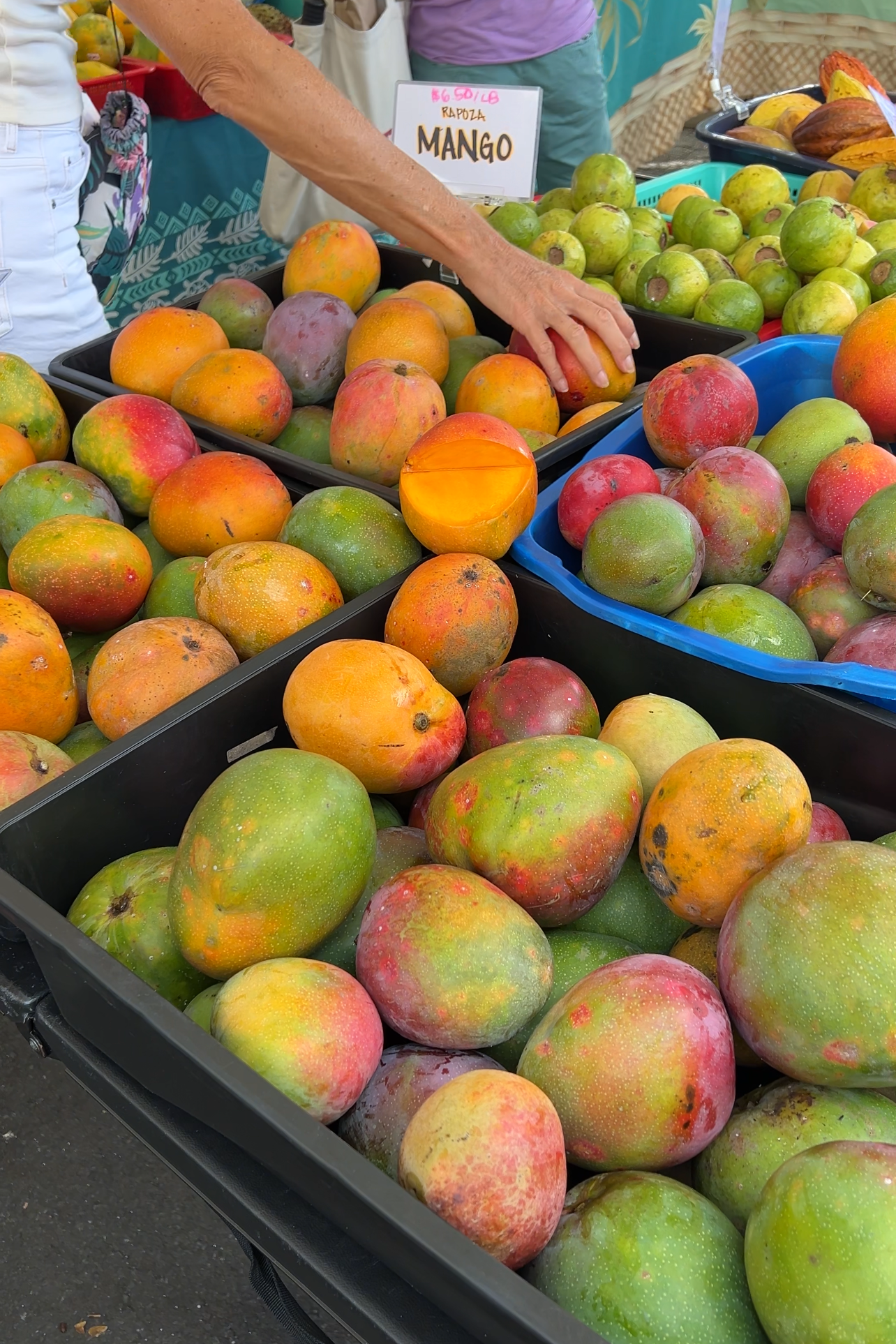 kakaʻako farmers market 919 ala moana blvd