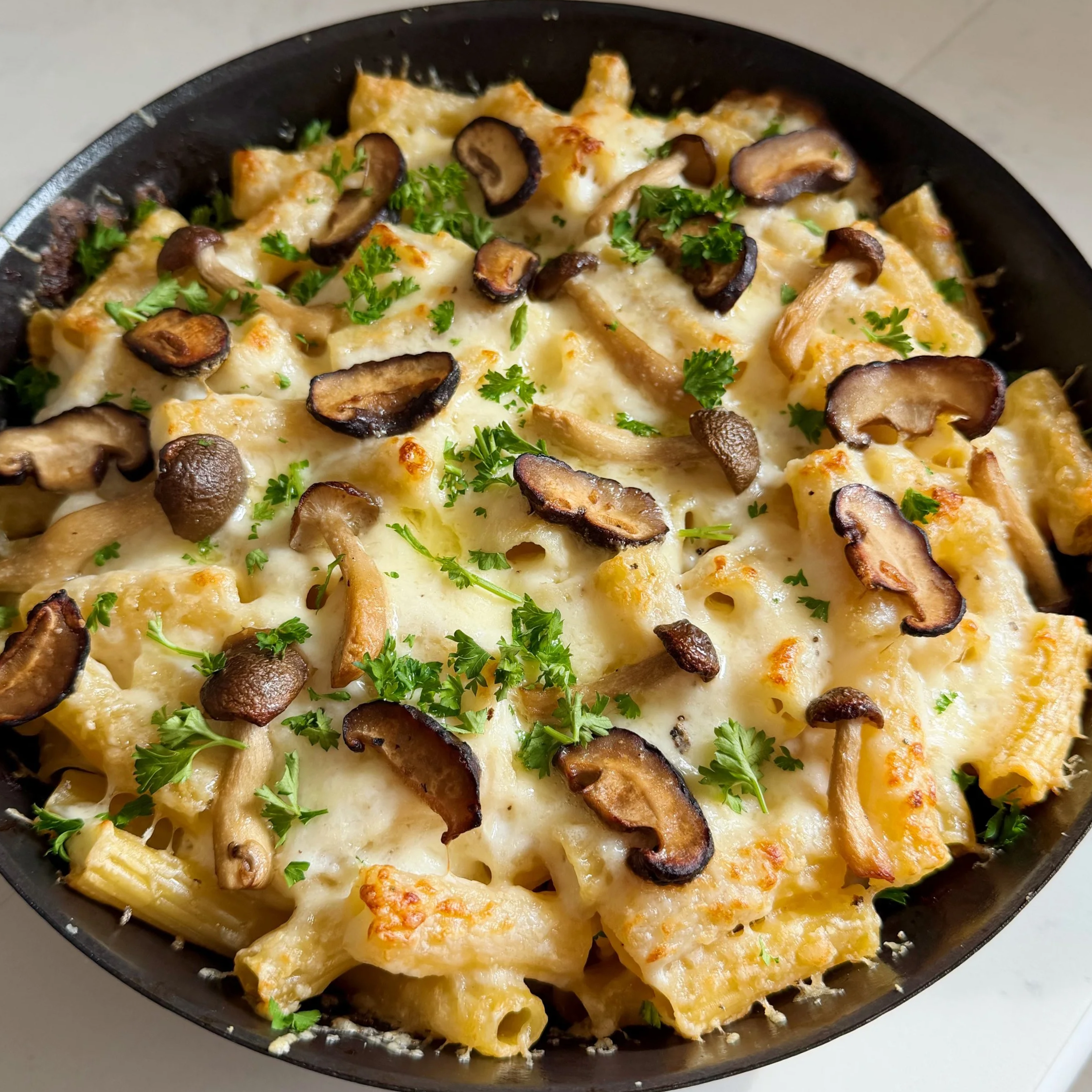 Mushroom Macaroni Gratin