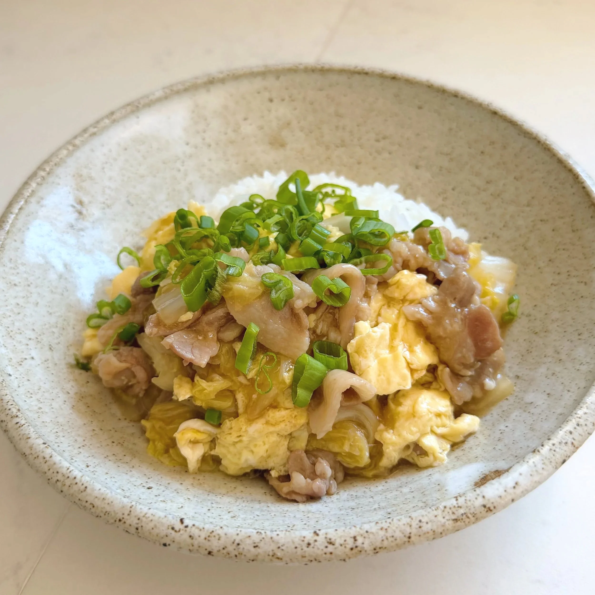 pork napa cabbage donburi
