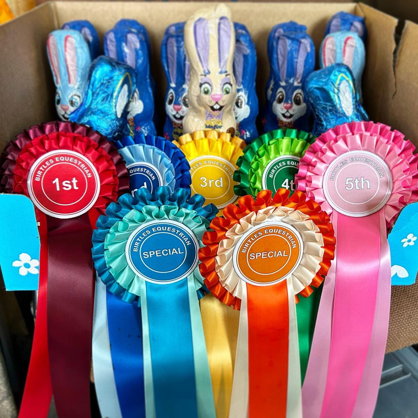 Everyone did fantastic today on the final Easter Pony Day! Hope you all had fun, see you all back in your lessons!🐣🥚🪺🎉 #horses#horse#pony#ponies#ponyday#horseriding#birtlesequestrian#ridingwithhorsemanship