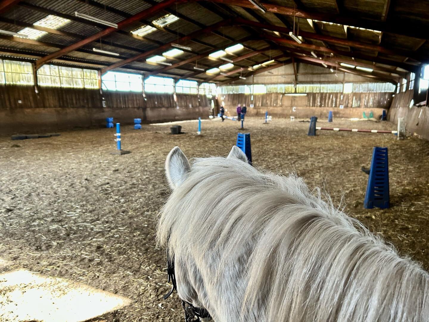 Everyone was ready &amp; rearing to go for their courses today! With straight jumps, cross poles, weaving &amp; tyre steps! It&rsquo;s all about who can get round it the fastest- and the ears pointing straight toward it all in the photo is Applejack,