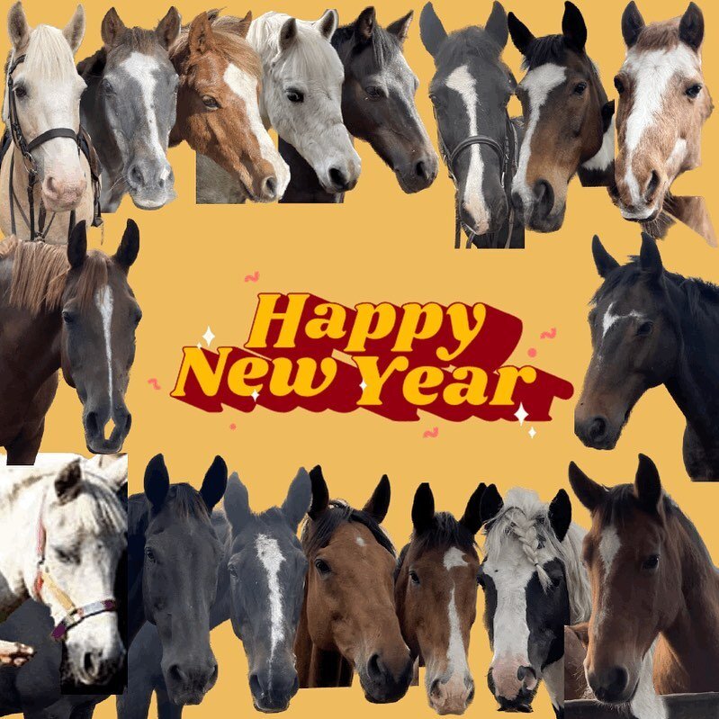 ✨Happy New Year✨ everyone! Hope you all had some fun celebrations to go into 2023! See you all at your lessons in the new year! ⭐️🌟💫 #horses#ponies#horse#pony#ridingschool#newyear#happynewyear#2023#ridingwithhorsemanship#birtlesequestrian