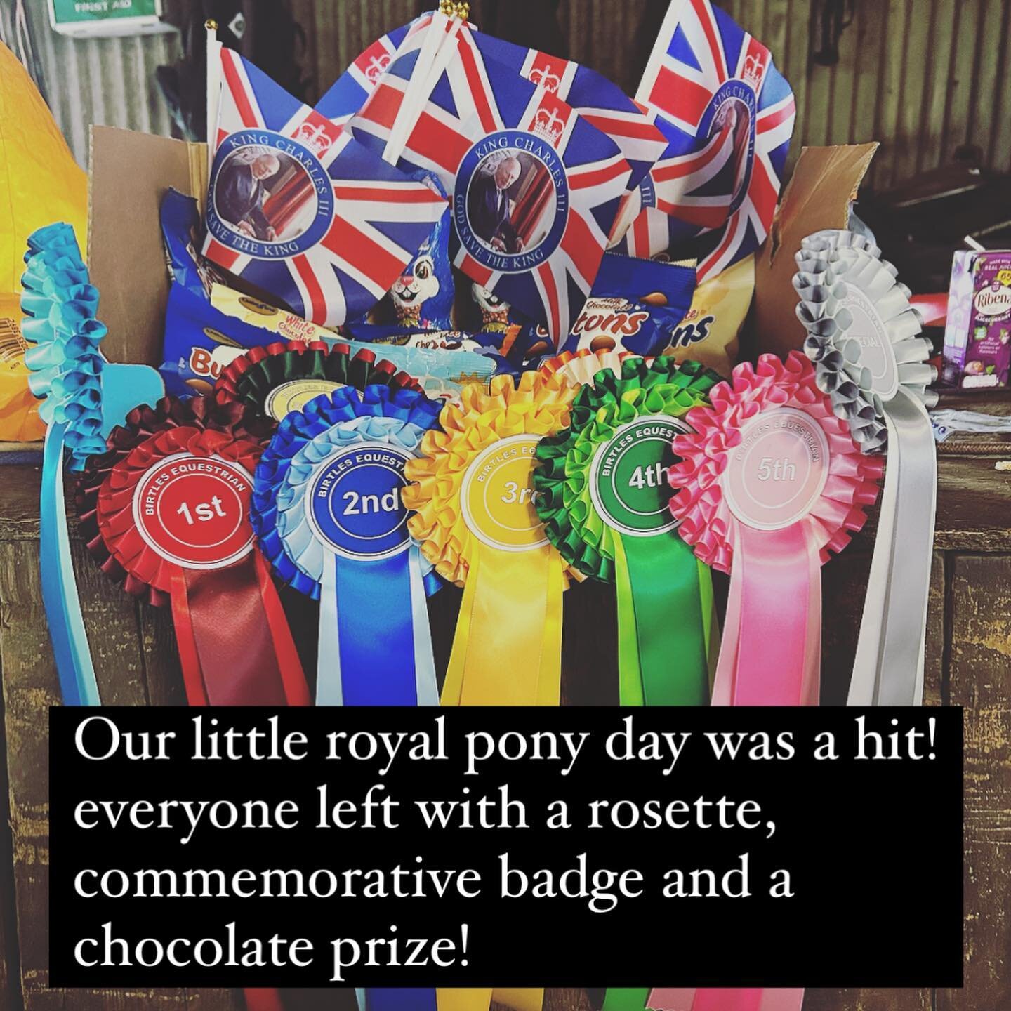 a very royal pony day - ✔️ a success! to all that took part, well done and thanks for coming along! #horseriding#ponyday#ponyevent#ridingschool#birtlesequestrian#horse#pony