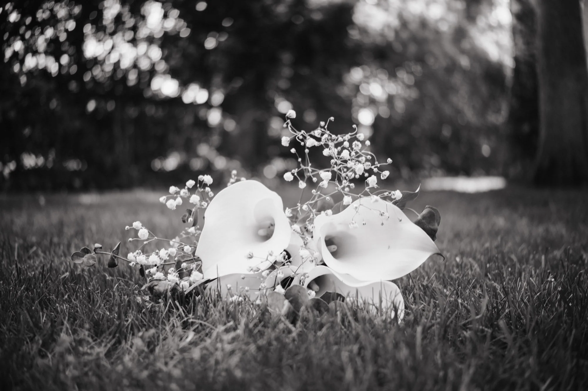 0336_Portfolio Boda-Familiar Fabio Albar.jpg