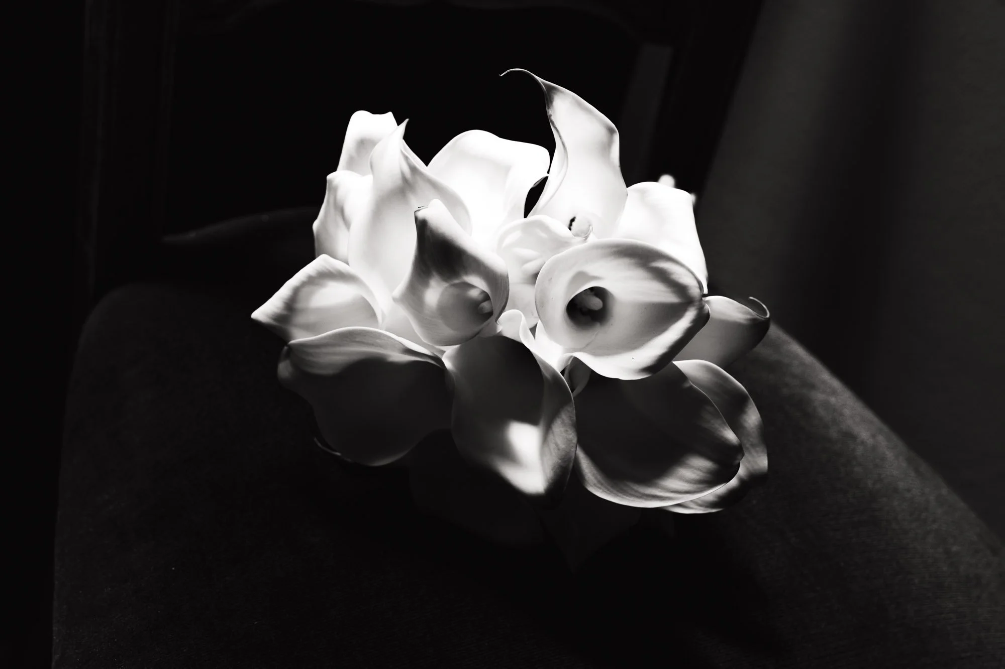 0435_Portfolio Boda-Familiar Fabio Albar.jpg