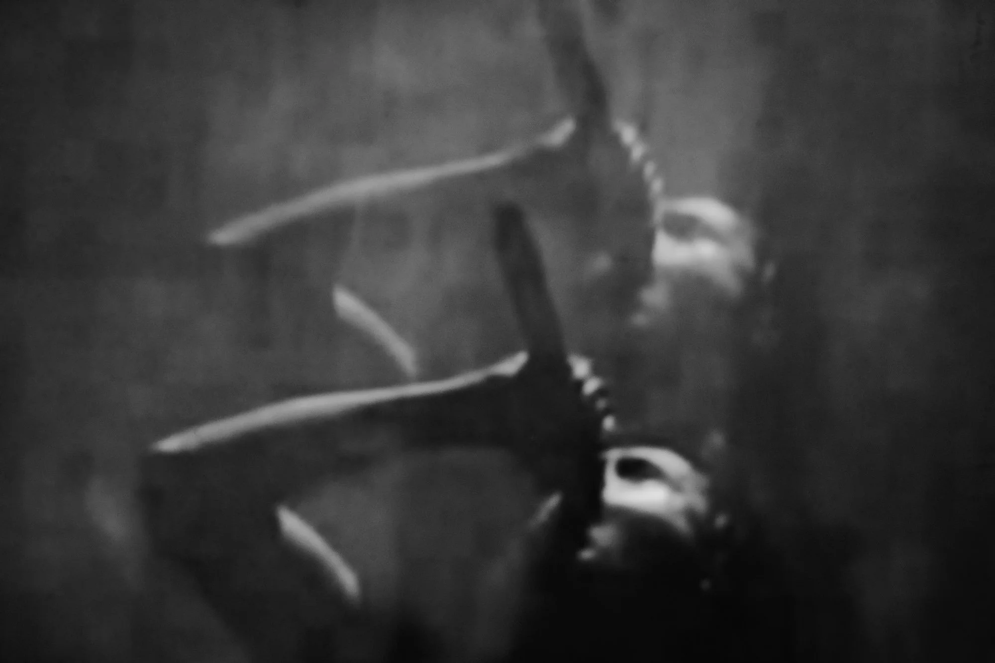 Bad Omens_show_FA0079.jpg