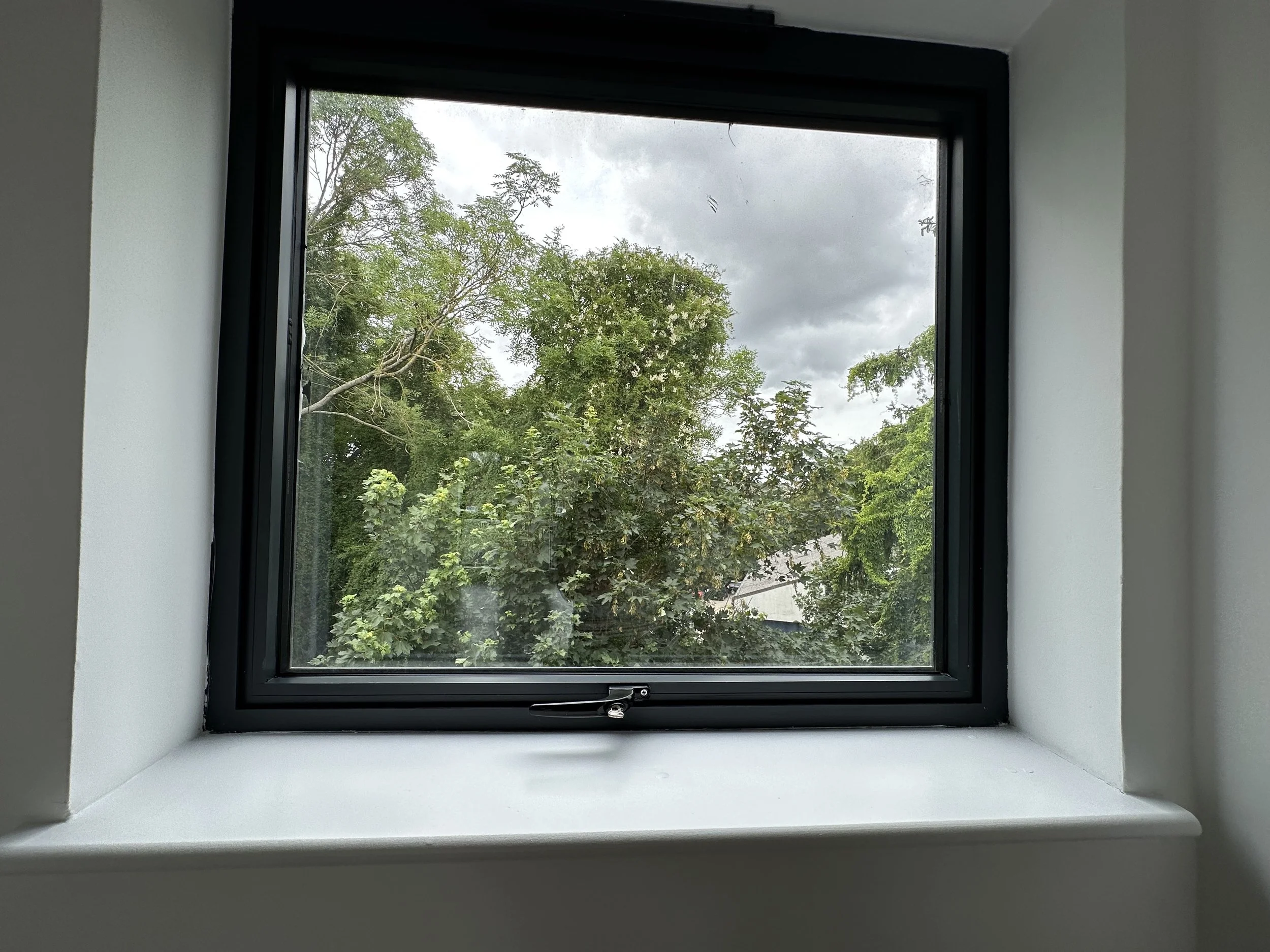 View through a window showing green trees and a cloudy sky outside.