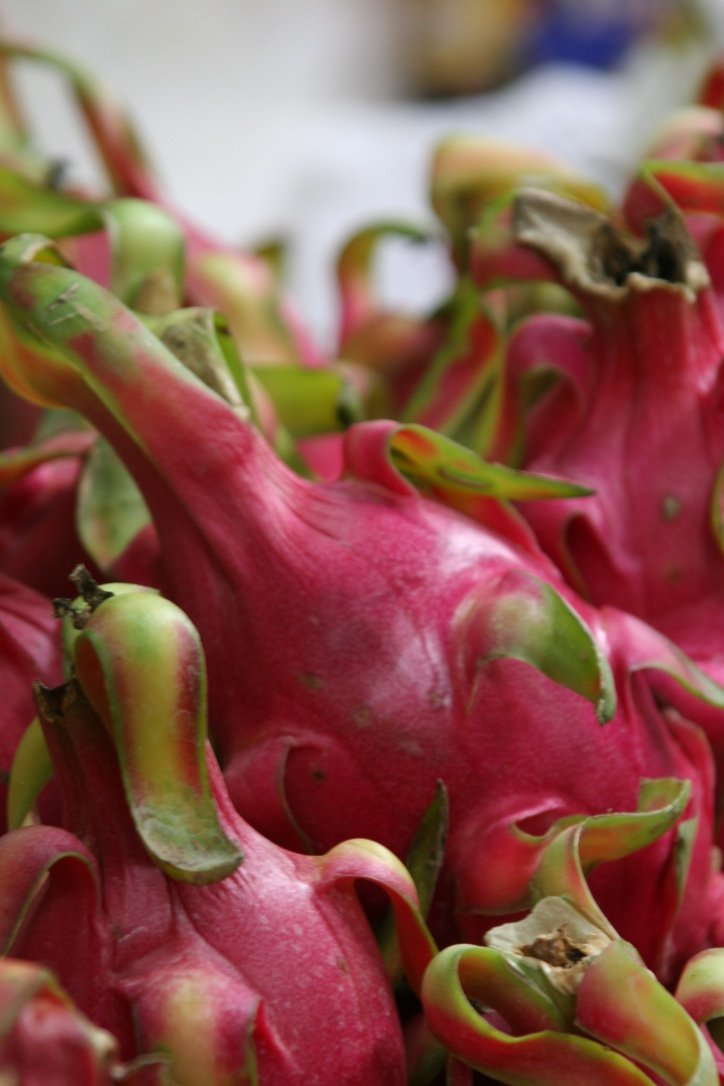 Dragonfruit, Hanoi
