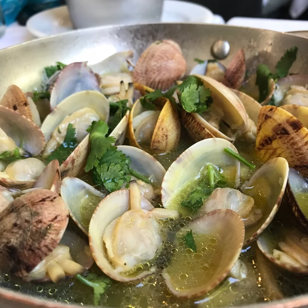 Clams, Lisbon
