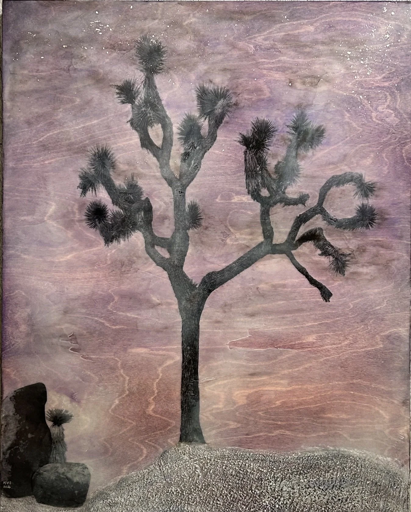 Joshua Tree Forest #5 (2026) Encaustic, tissue paper, pastel, watercolor, birchwood panel 24 x 30 (Framed)