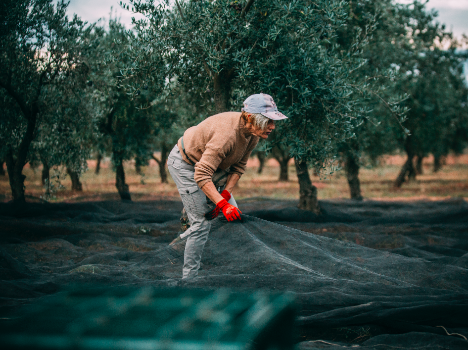 Capture d’écran 2023-11-27 à 13.51.21.png
