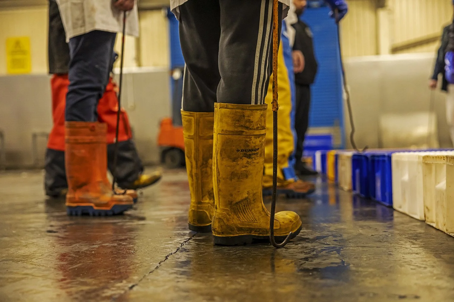 Market - IMG_1358.jpg