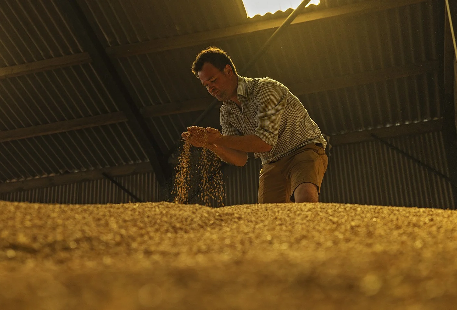 BASF - Revystar 3 - IMG_9053.jpg